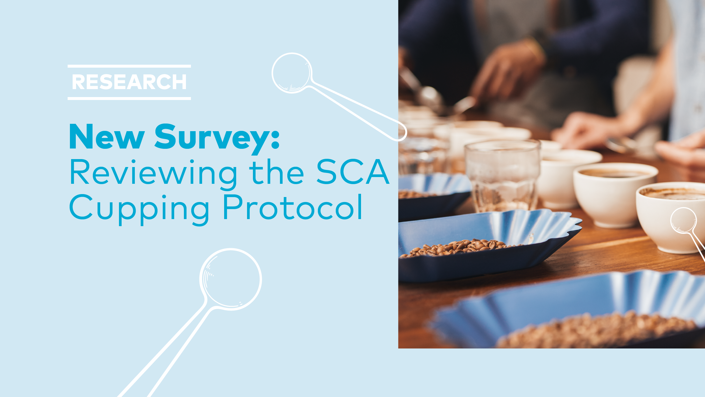 SCANews_Cupping SCA News-Post copy@2x.png