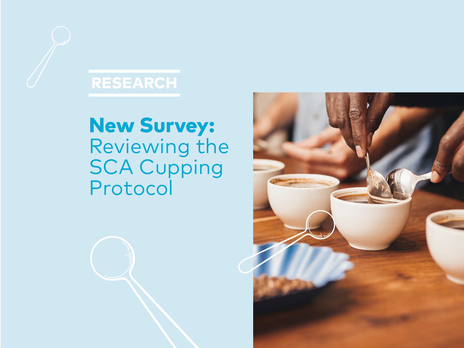 Reviewing the SCA Cupping Protocol—A New Survey
