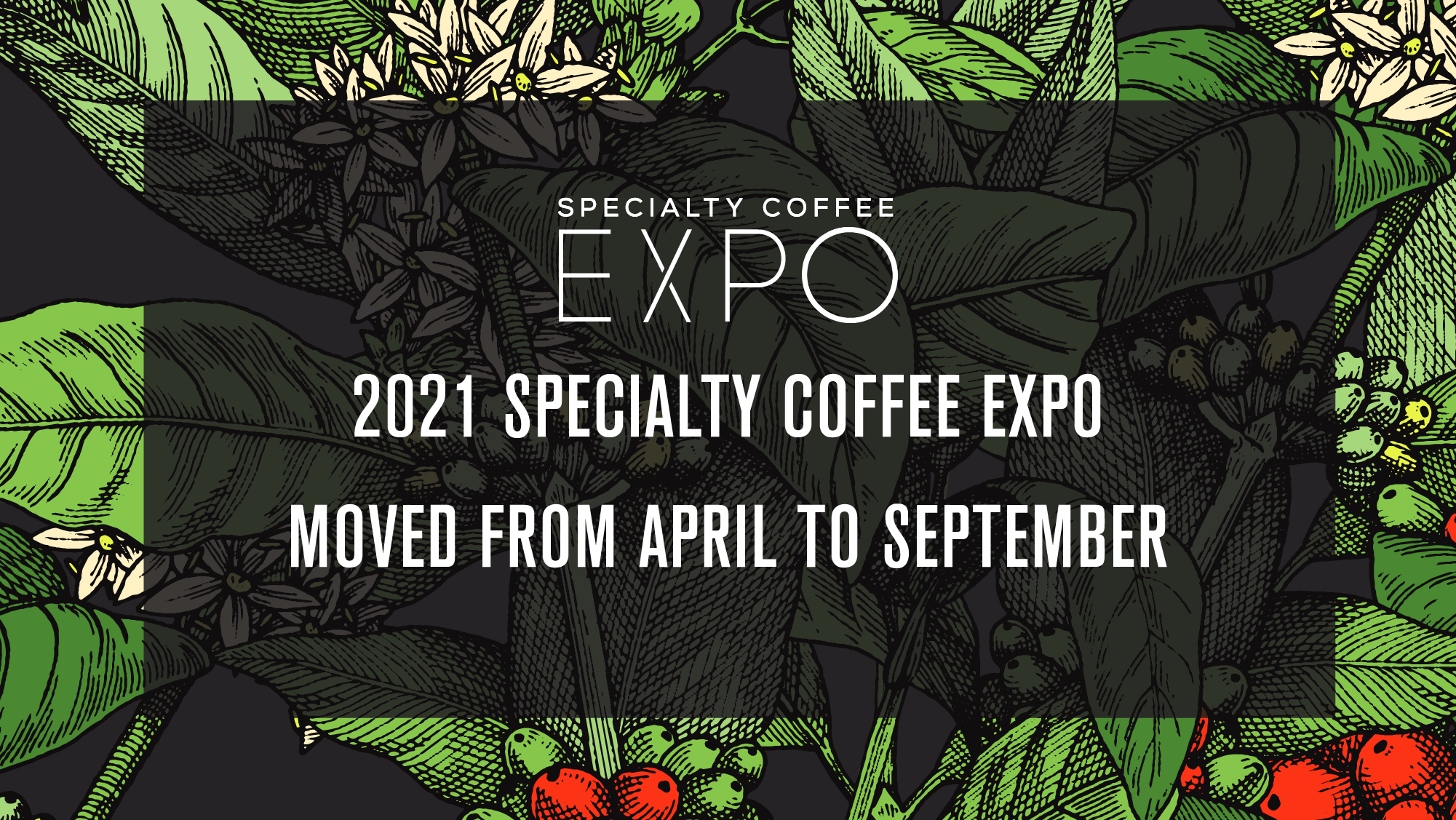 Expo Newsletter Header - CANCELLED@2x.png