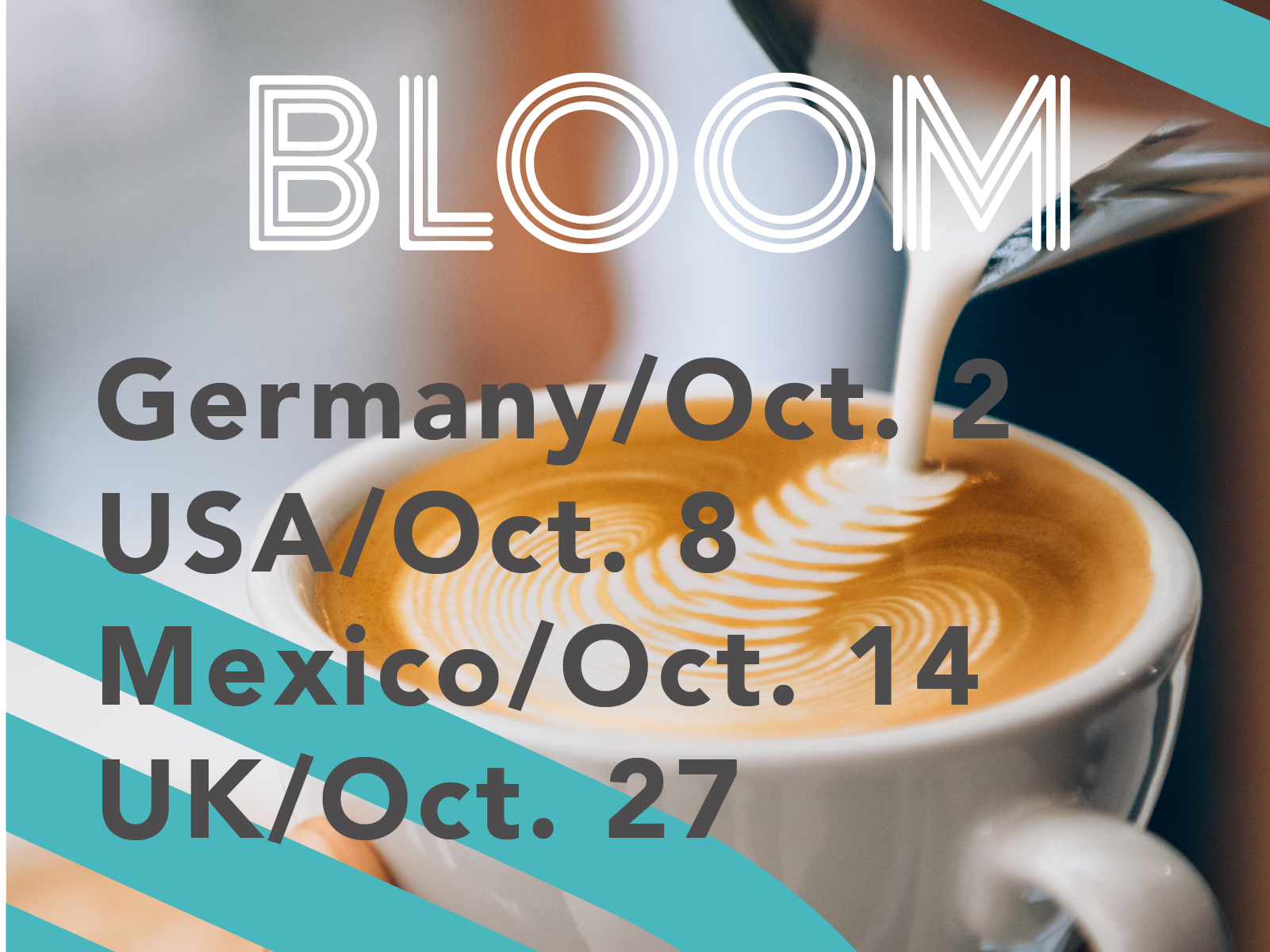 Announcing the Newest Cycle of Bloom 