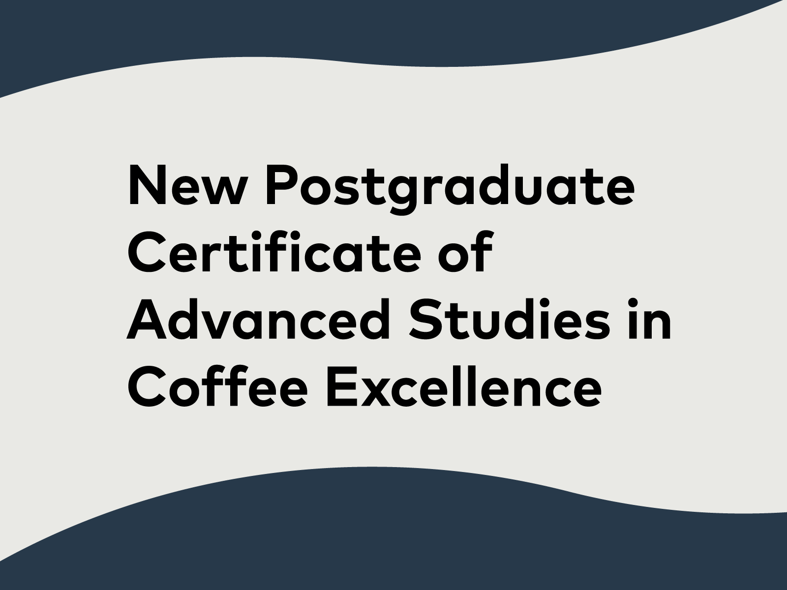 New Collaboration on Coffee Education Between the Zurich University of Applied Sciences and the Specialty Coffee Association