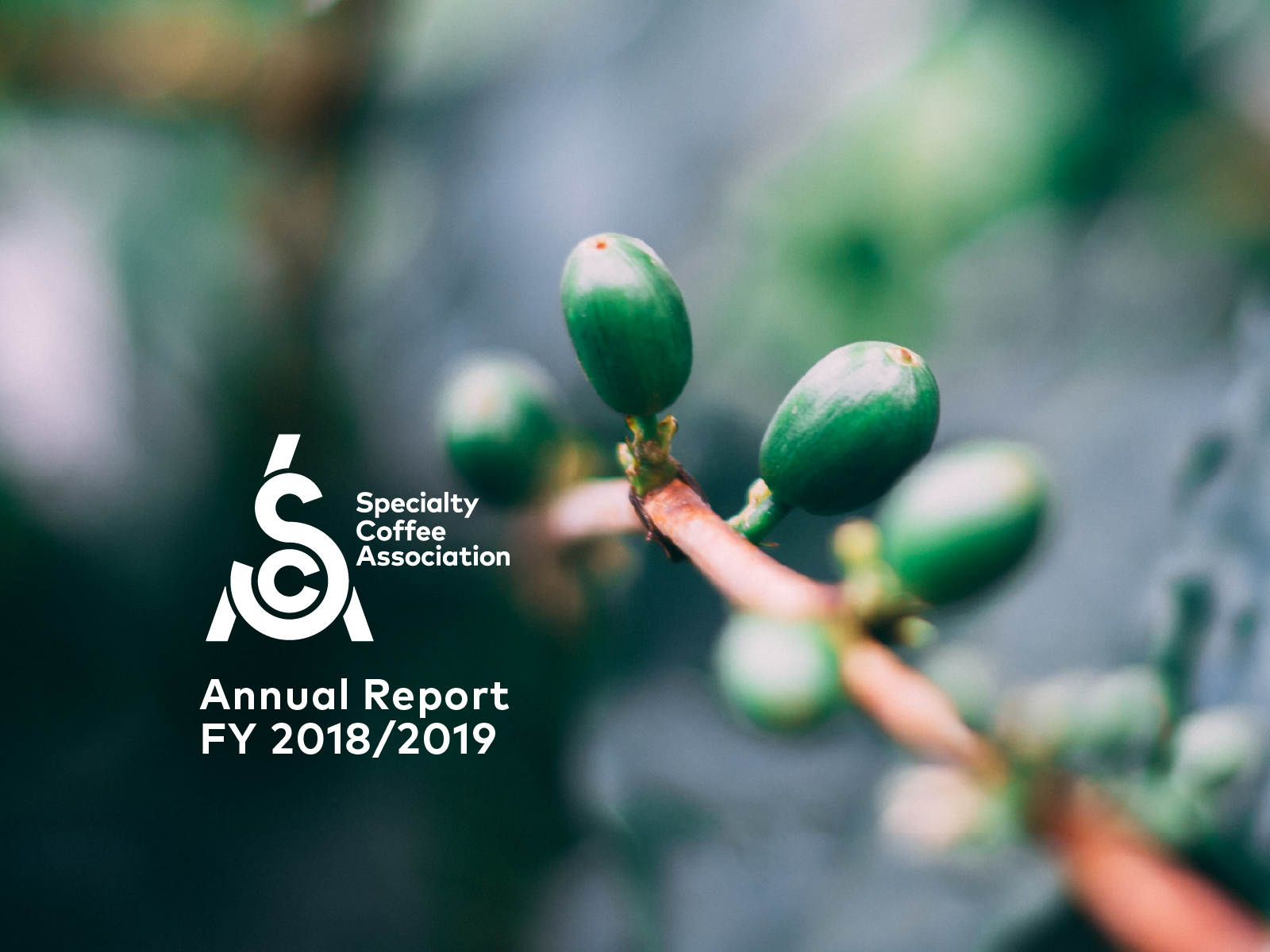 The SCA Releases Annual Report for FY 2018/2019