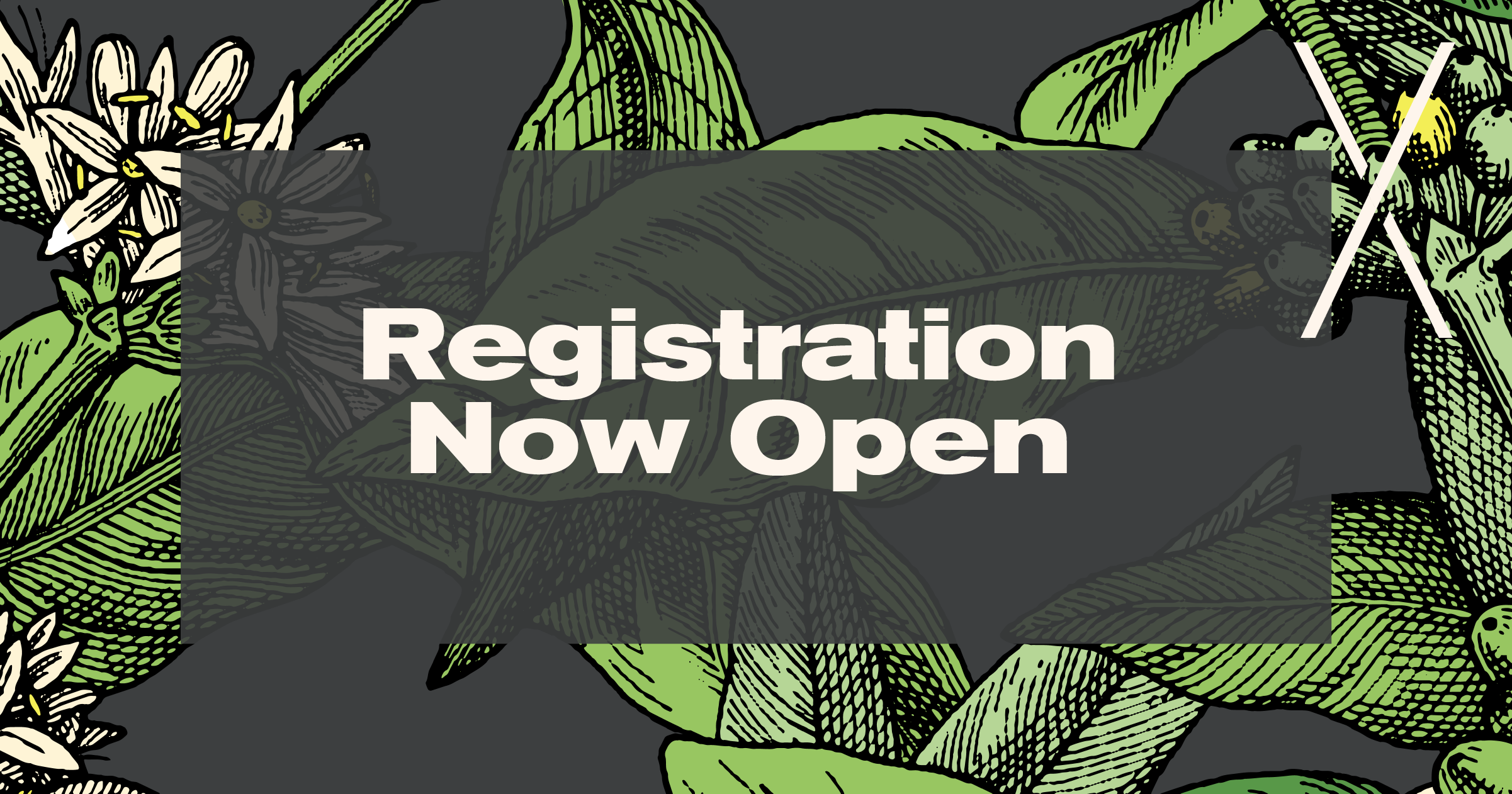 Expo Reg Launch - FB 1@2x.png