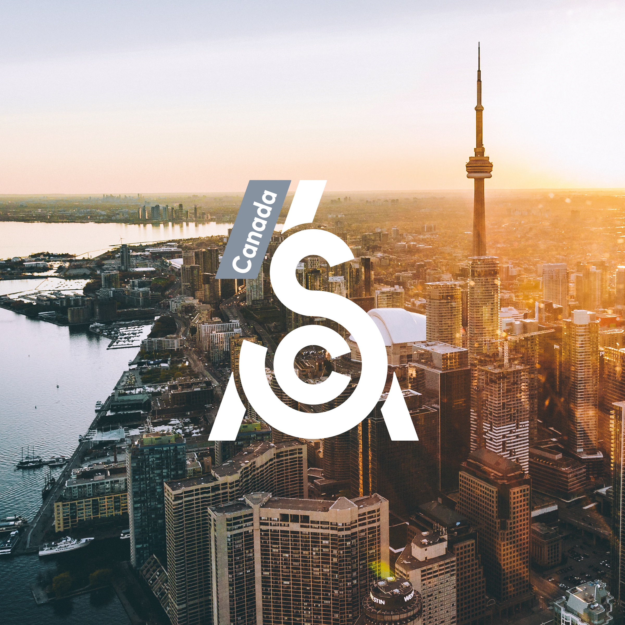 Meet the 2021 SCA Canada Chapter Committee