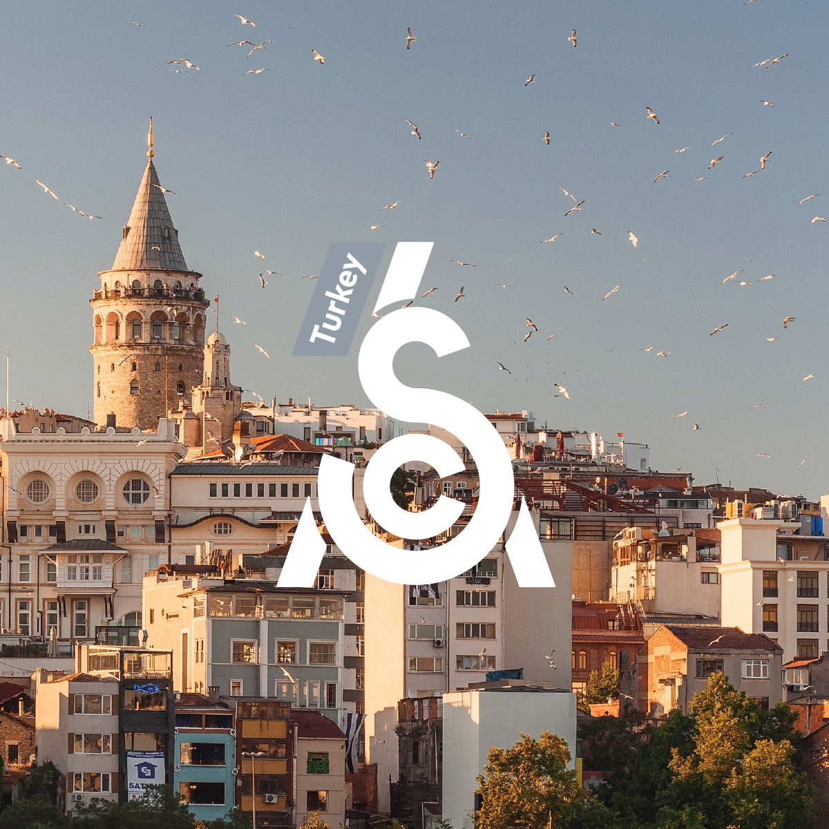 SCA Turkey Chapter: Meet the Committee