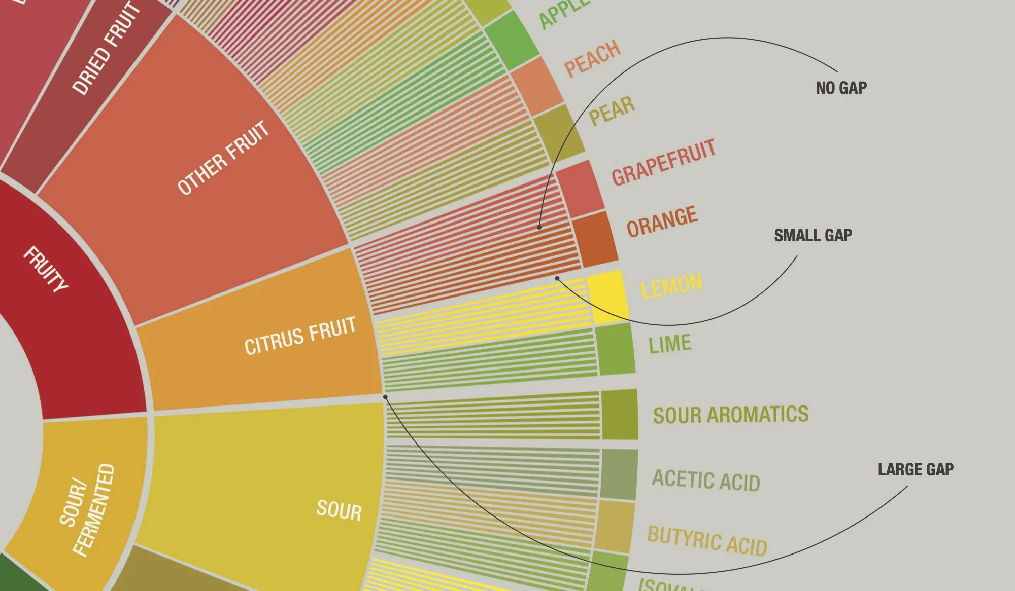 How to Use the Coffee Taster’s Flavor Wheel in Eight Steps