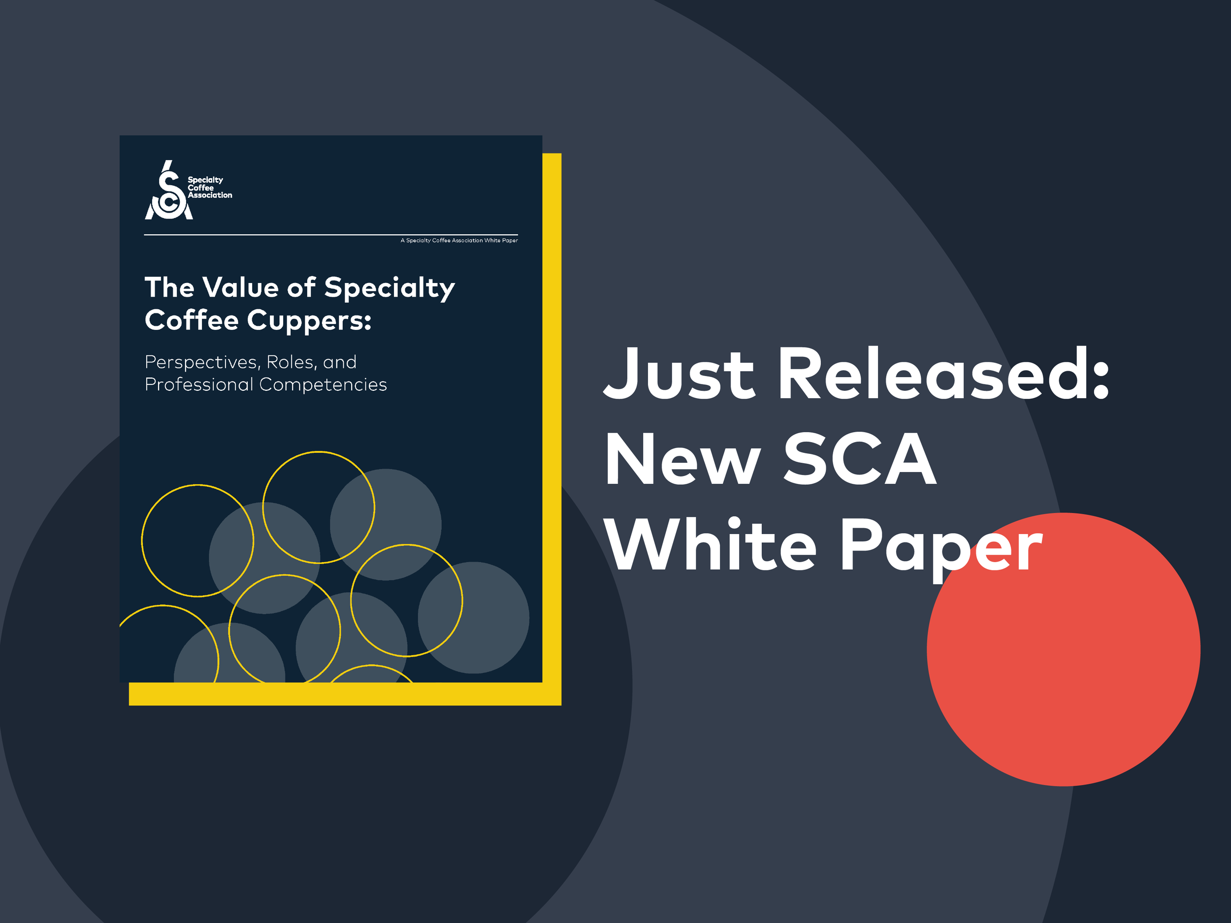 Just Released: The Value of Specialty Coffee Cuppers SCA White Paper