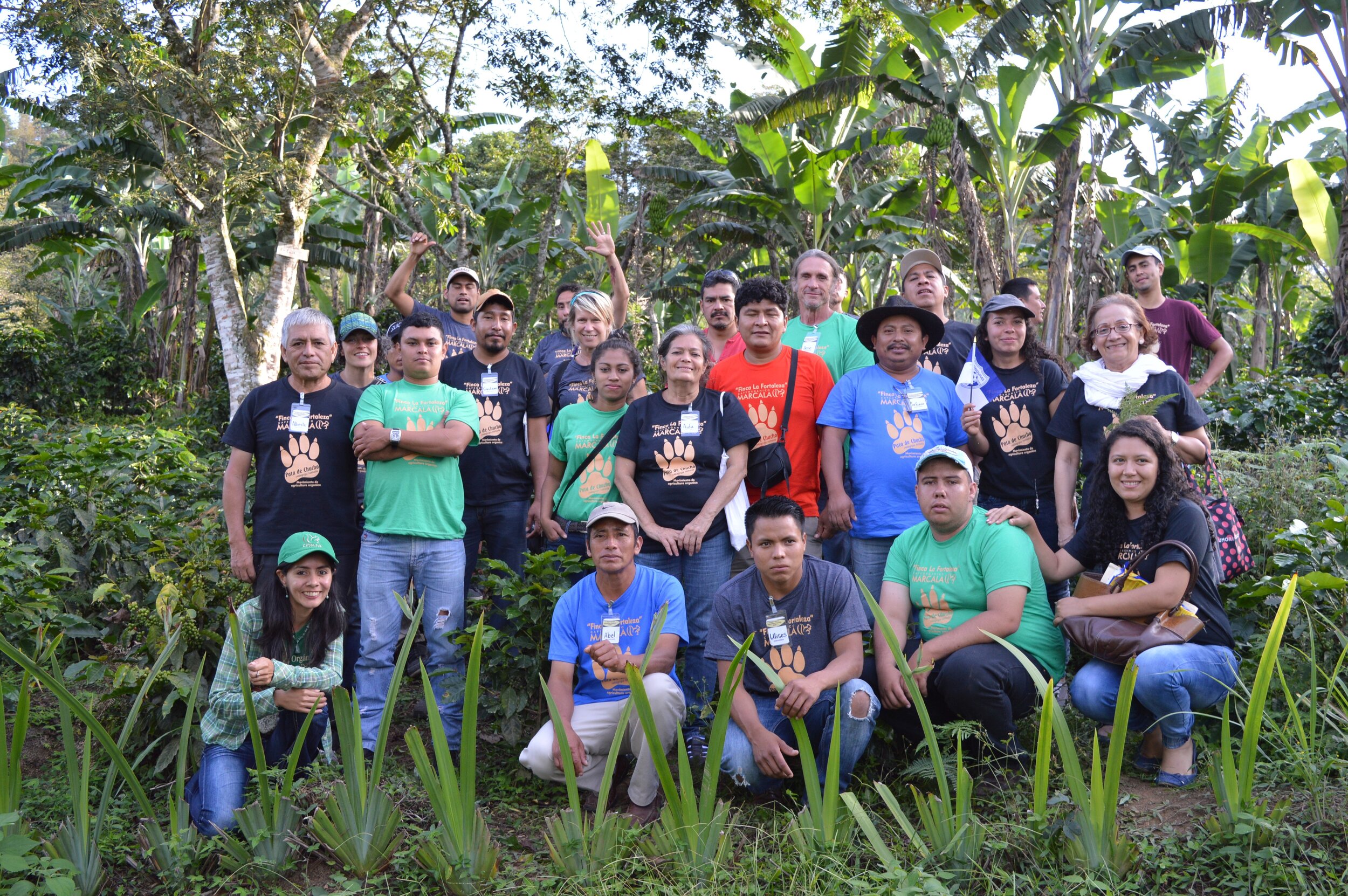 Photo courtesy of Cooperative Coffees.