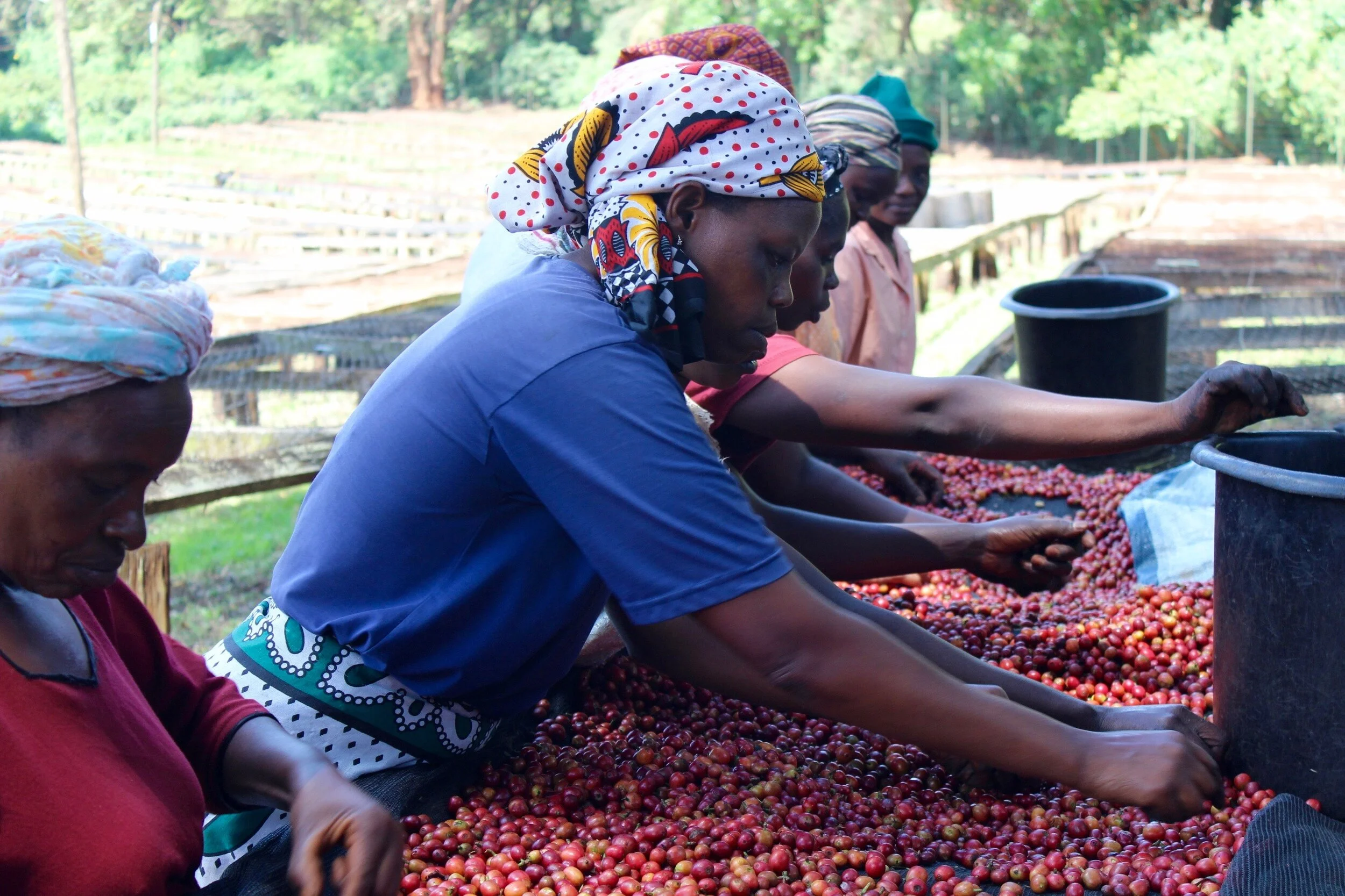 Together Is Better: Providing a More Equitable Return to Farming Communities