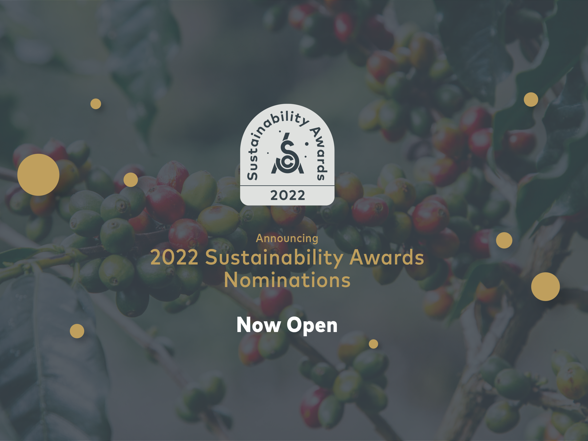 Now Accepting Nominations for the 2022 Sustainability Awards
