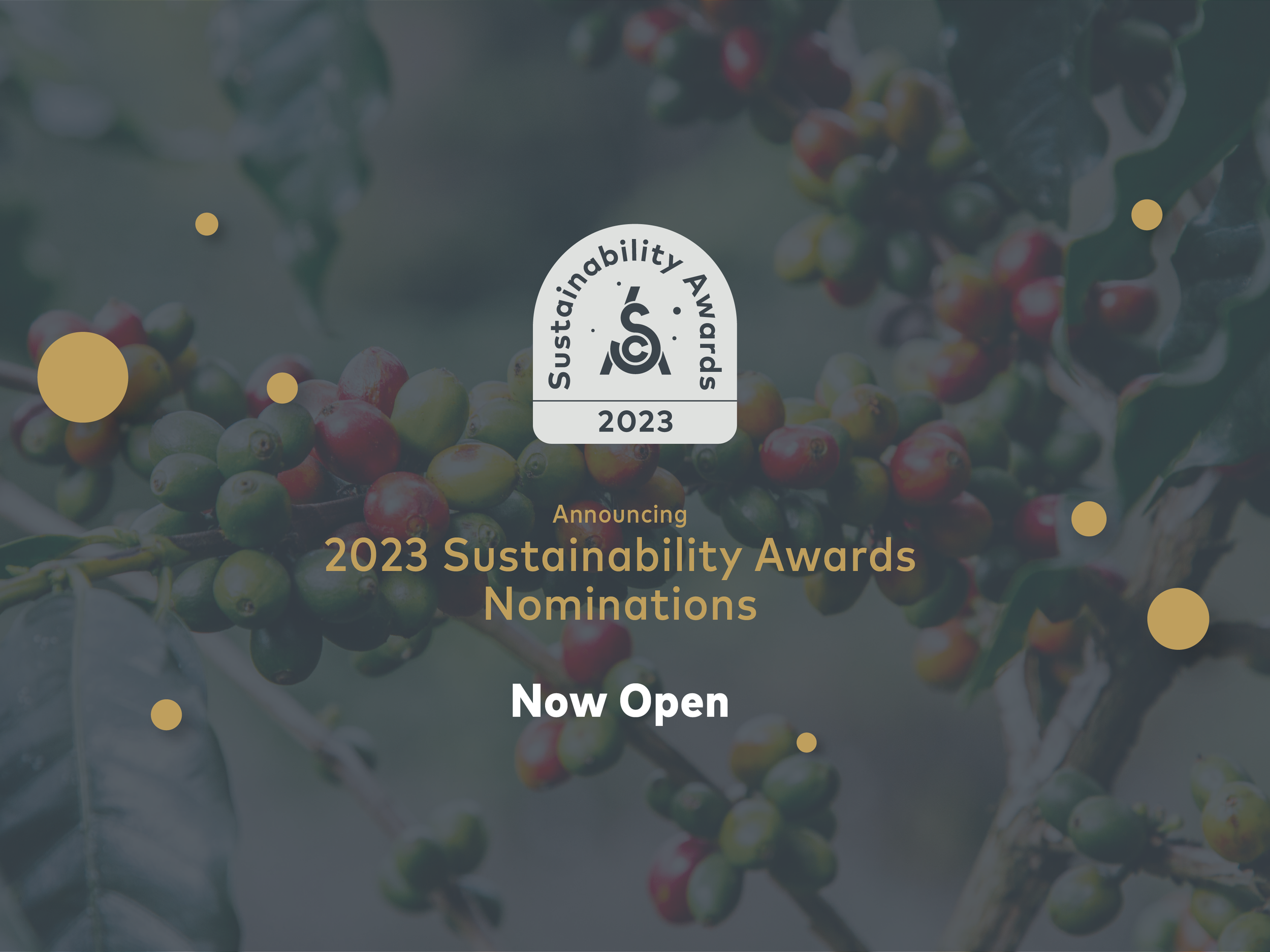 Now Accepting Nominations for the 2023 Sustainability Awards