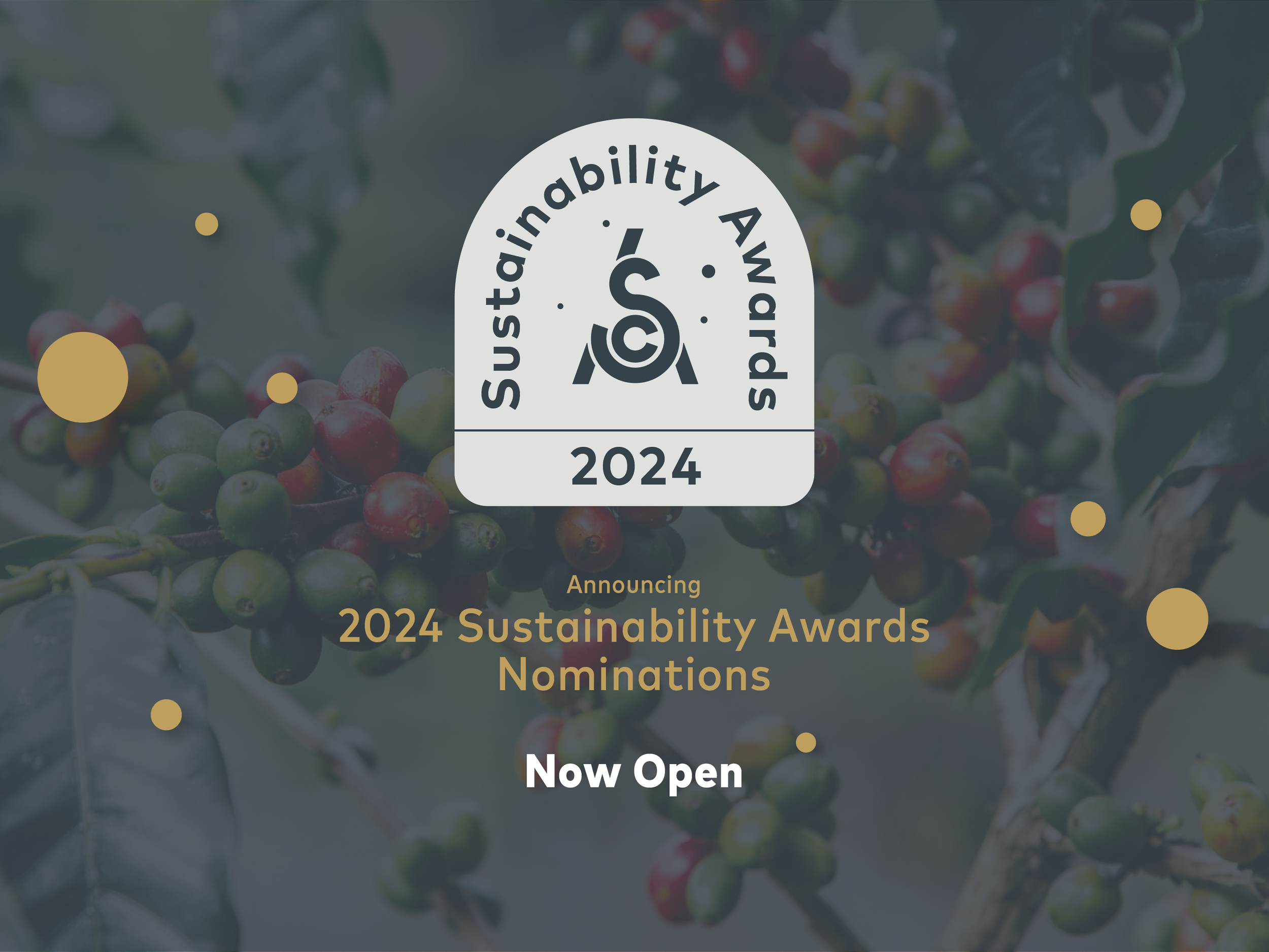Now Accepting Nominations for the 2024 Sustainability Awards