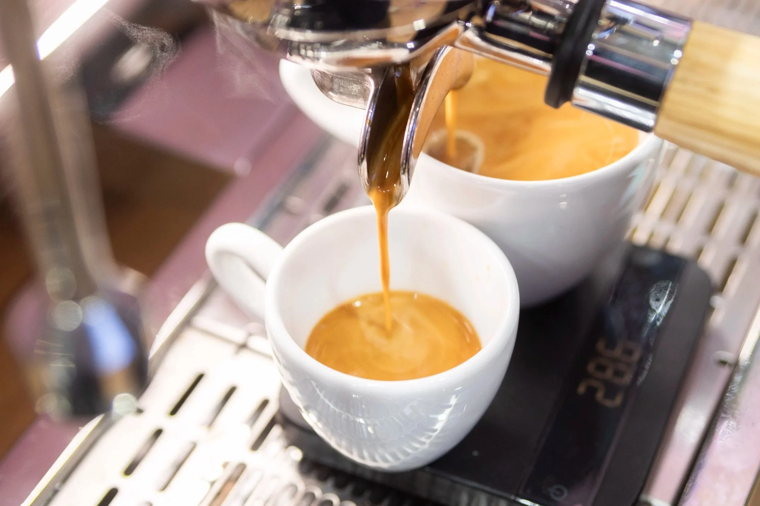 Perfectly Mineralized Water for Coffee:&nbsp;BWT bestbarista ROC COFFEE for Masterful Coffee Flavors