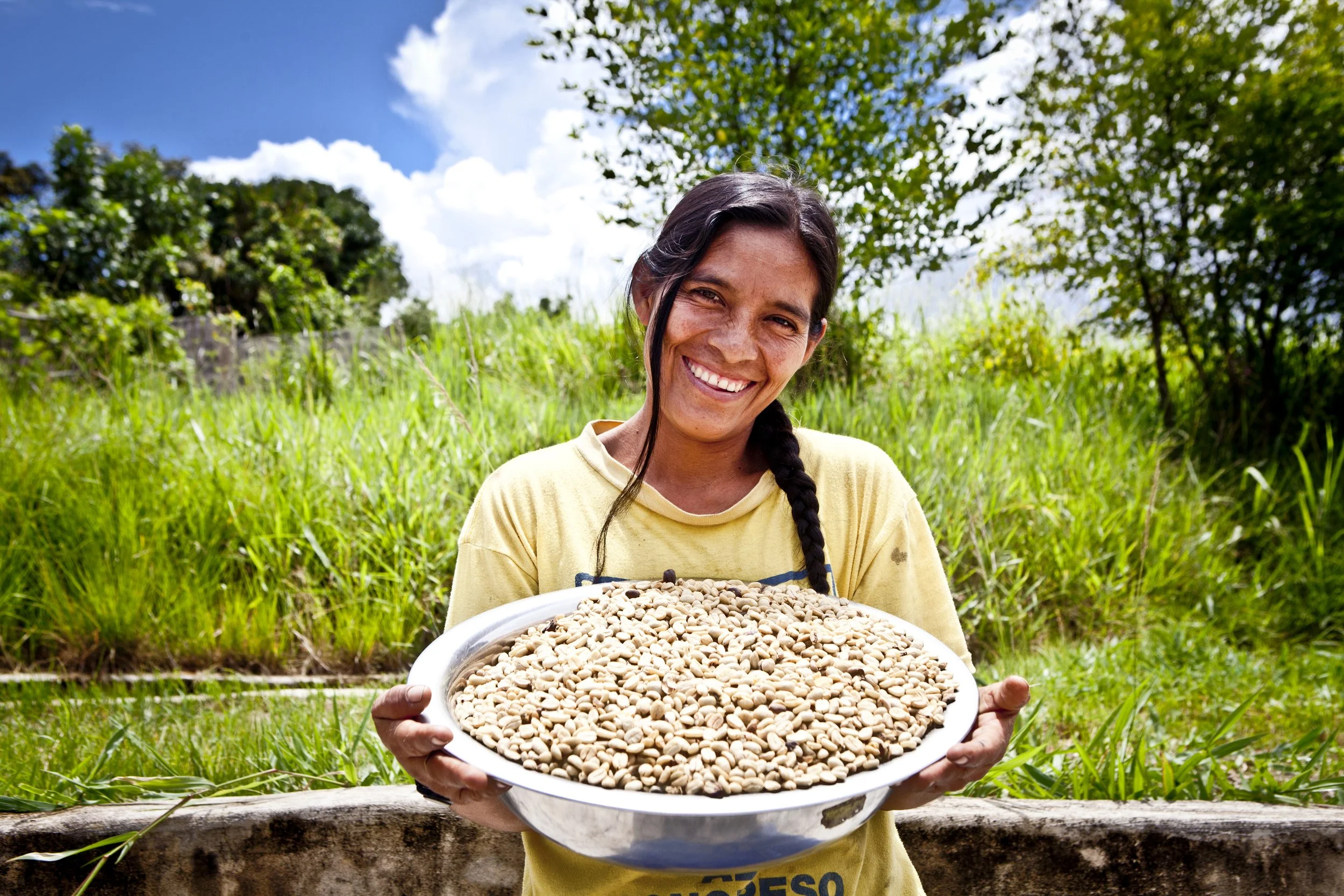 Peruvian Coffee’s Cultivation and Sustainable Development 