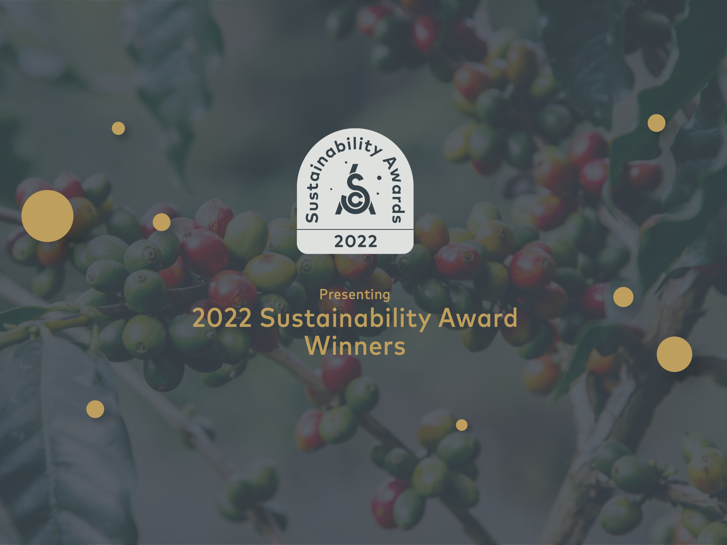 Presenting the 2022 SCA Sustainability Award Winners