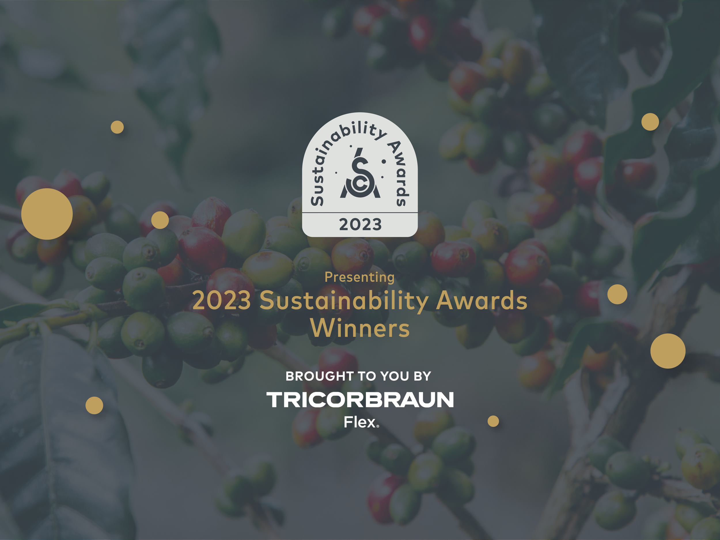 Presenting the 2023 SCA Sustainability Award Winners
