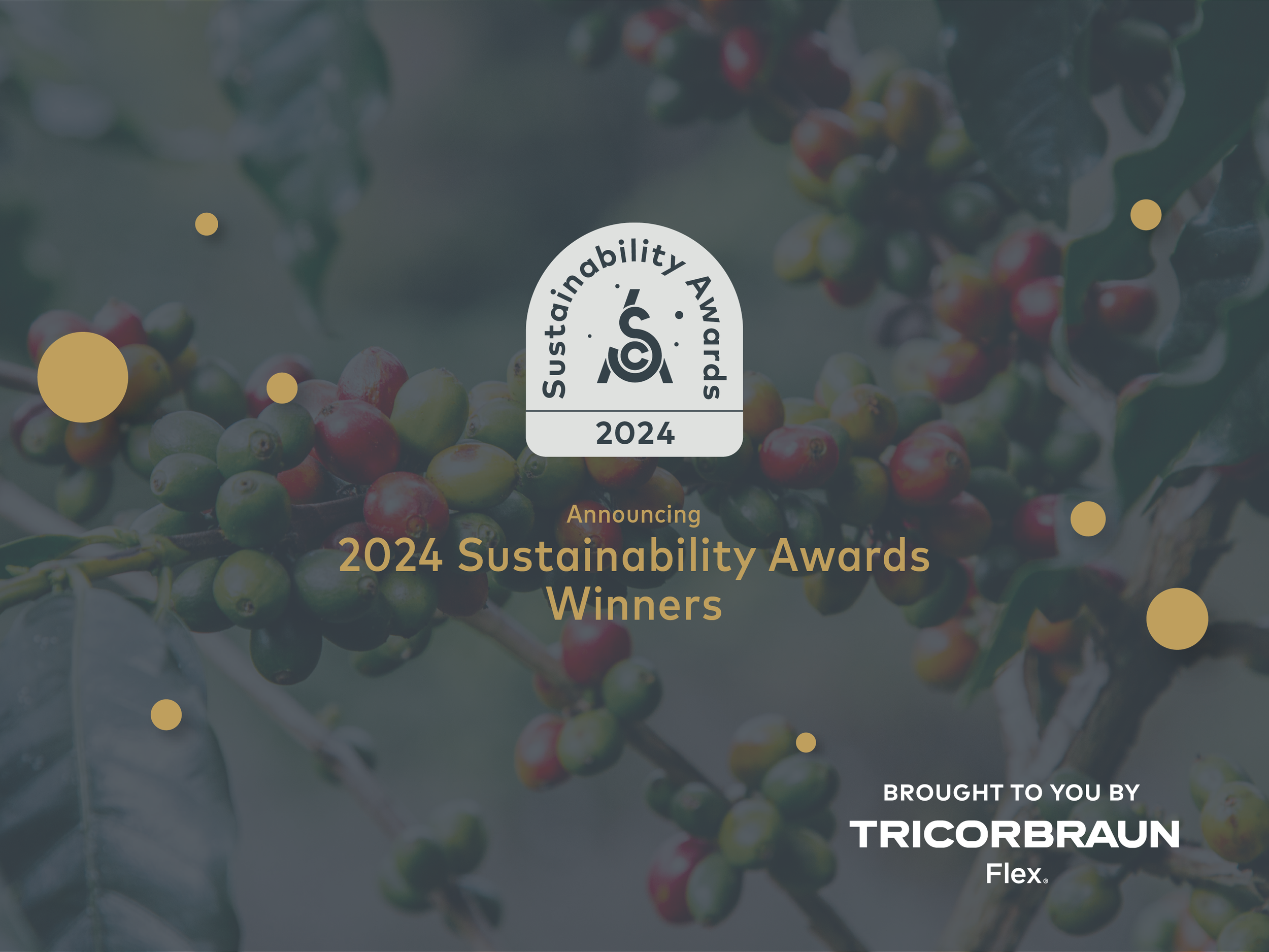 Presenting the 2024 SCA Sustainability Award Winners
