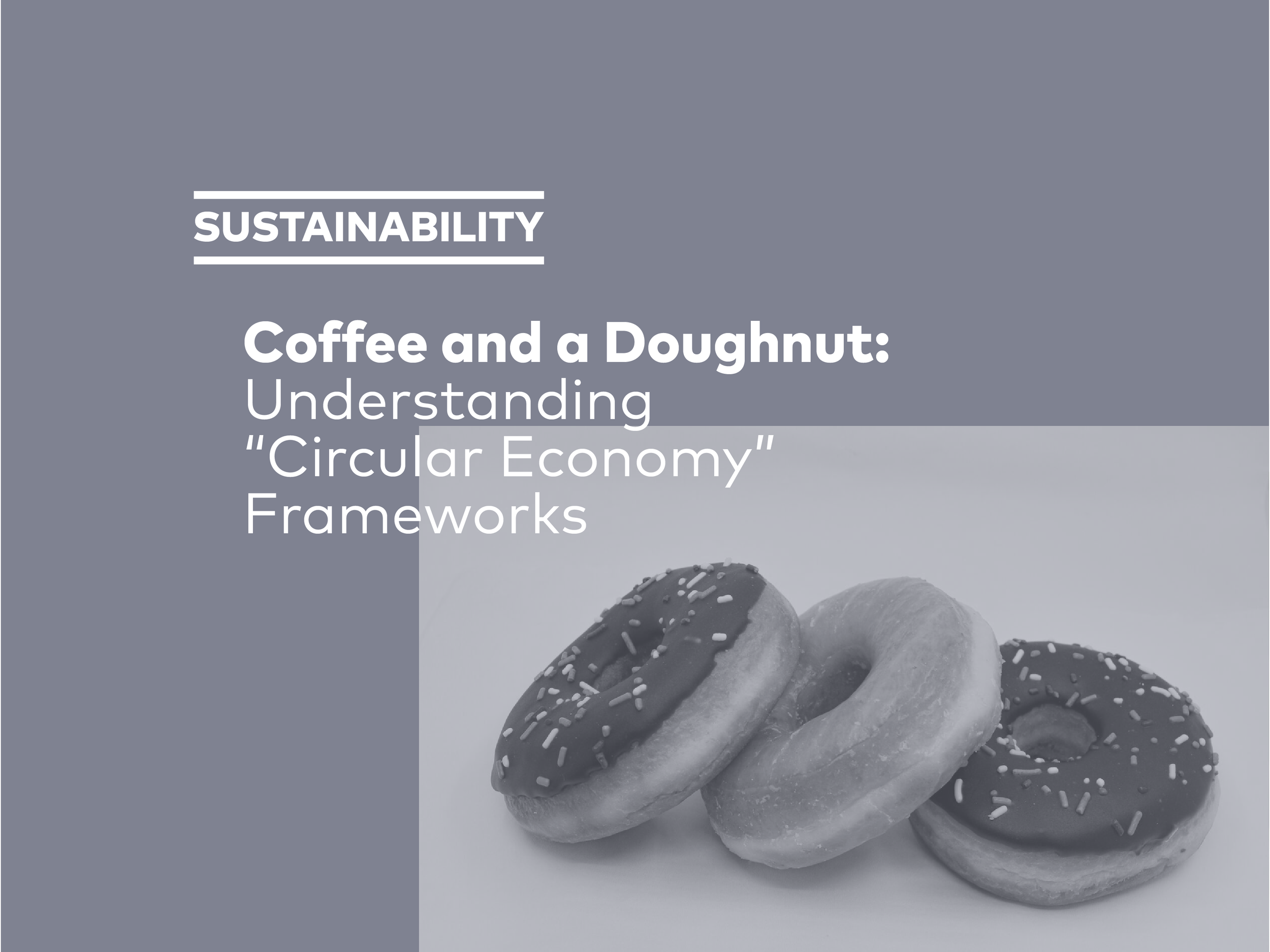 Coffee and a Doughnut: Understanding “Circular Economy” Frameworks  