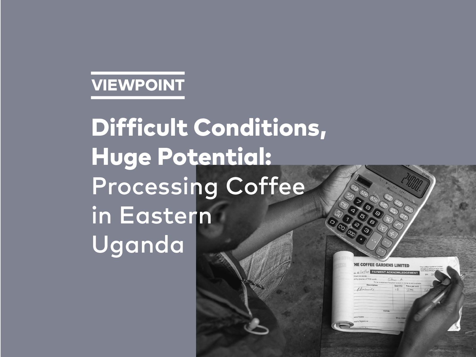 Difficult Conditions, Huge Potential: Processing Coffee in Eastern Uganda