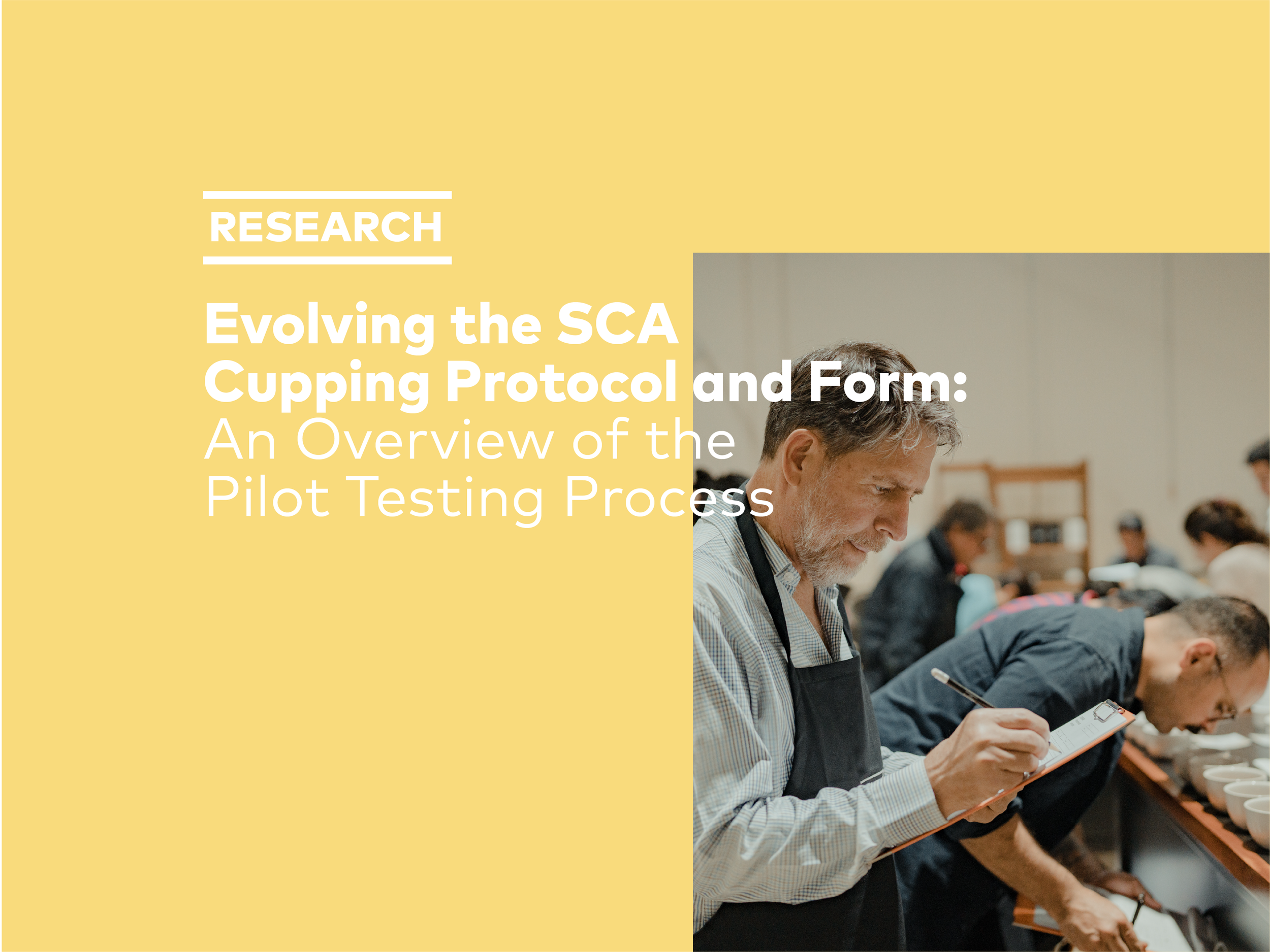 Evolving the SCA Cupping Protocol and Form: An Overview of the Pilot Testing Process