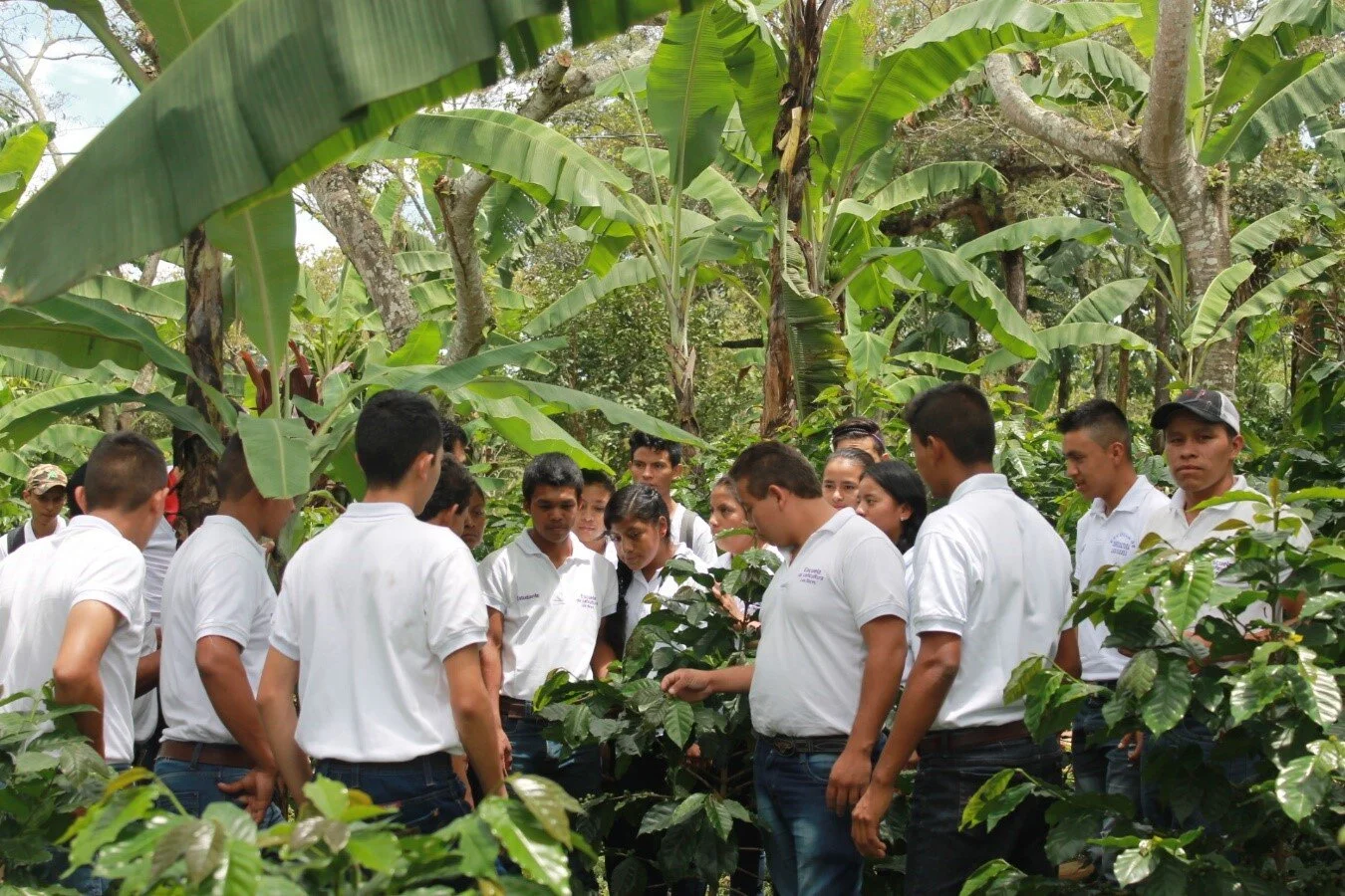 Funcafé and Progreso Foundation Awarded with 2017 SCA Sustainability Awards