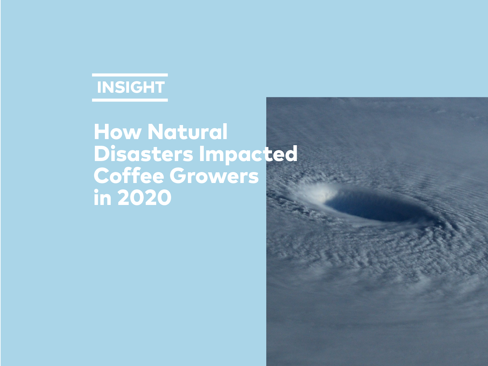 How Natural Disasters Impacted Coffee Growers in 2020