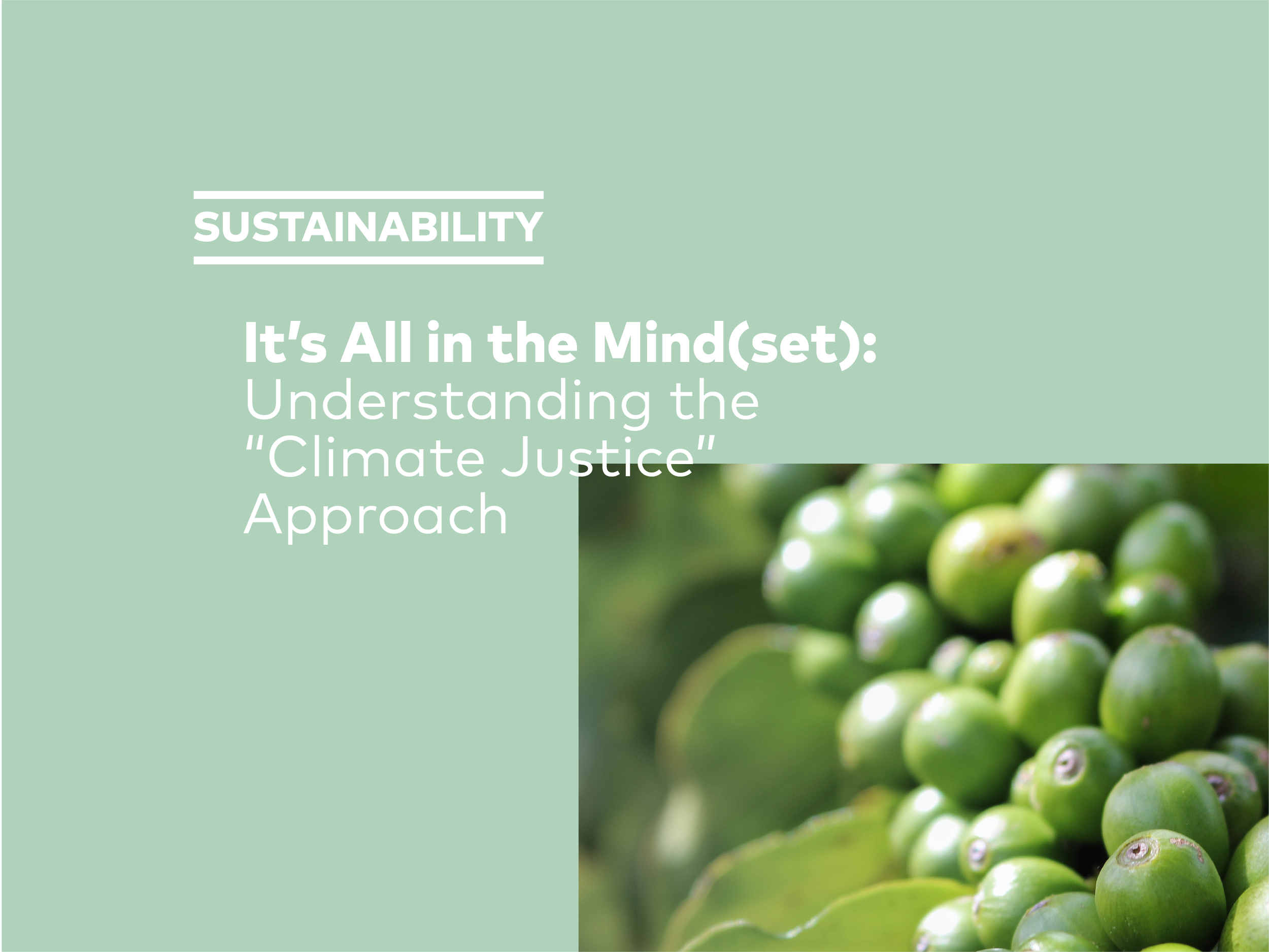It’s All in the Mind(set): Understanding the “Climate Justice” Approach