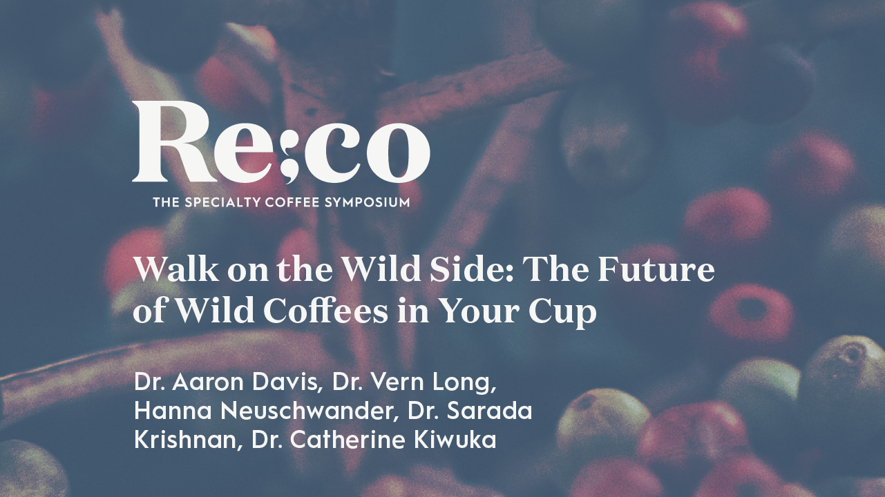 Walk on the Wild Side: The Future of Wild Coffees in Your Cup | Panel Discussion | Re:co 2022