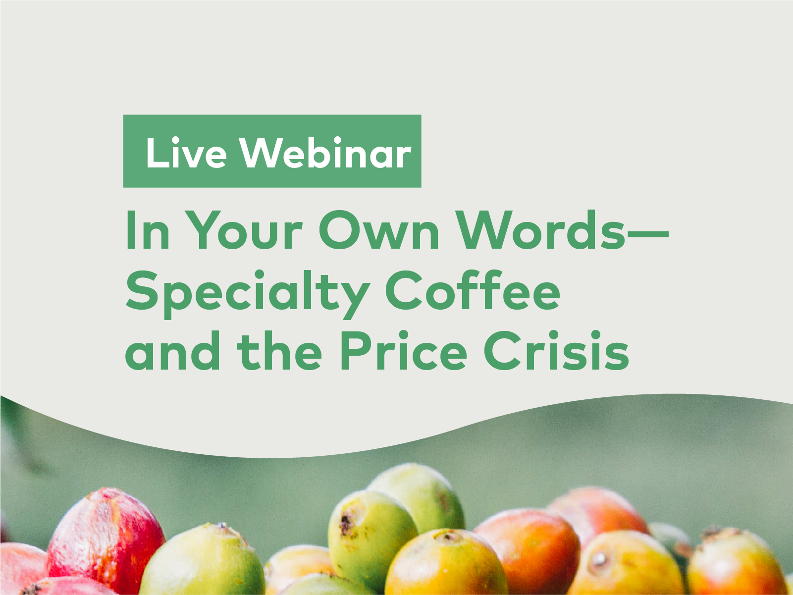 United by Sustainability #4 | The Price Crisis — In Your Own Words