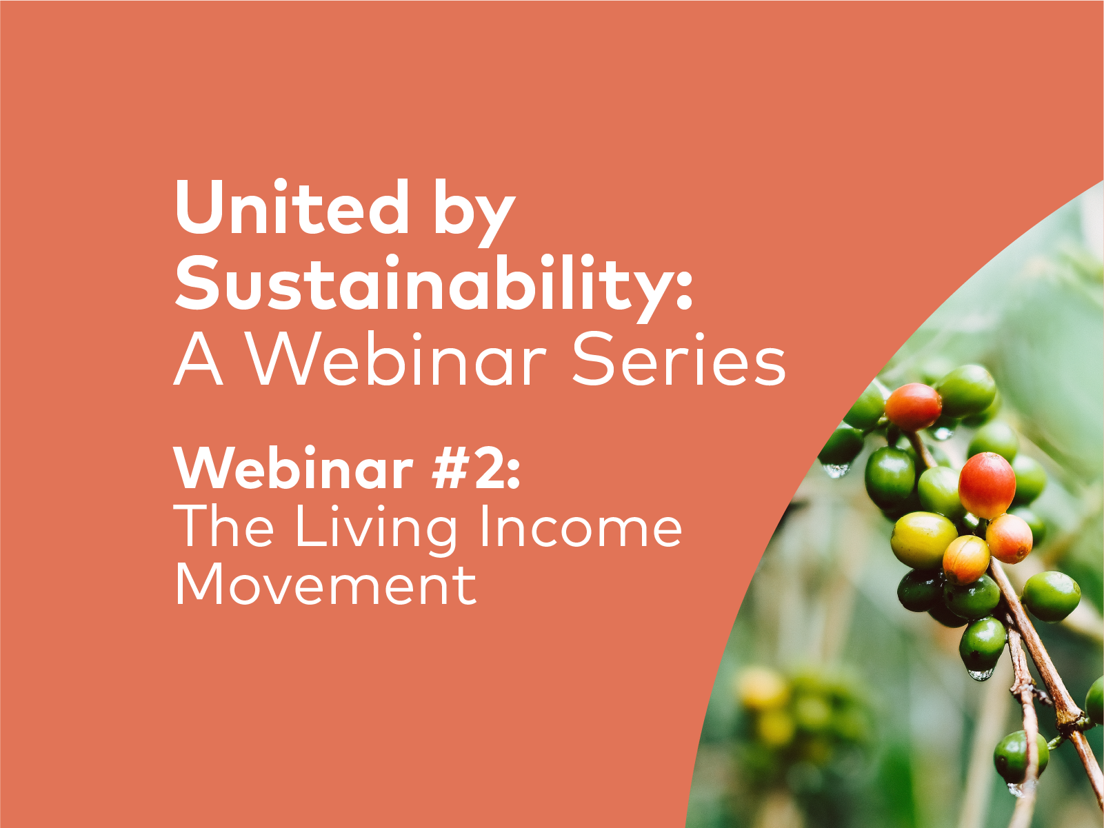 United by Sustainability #2 | The Living Income Movement