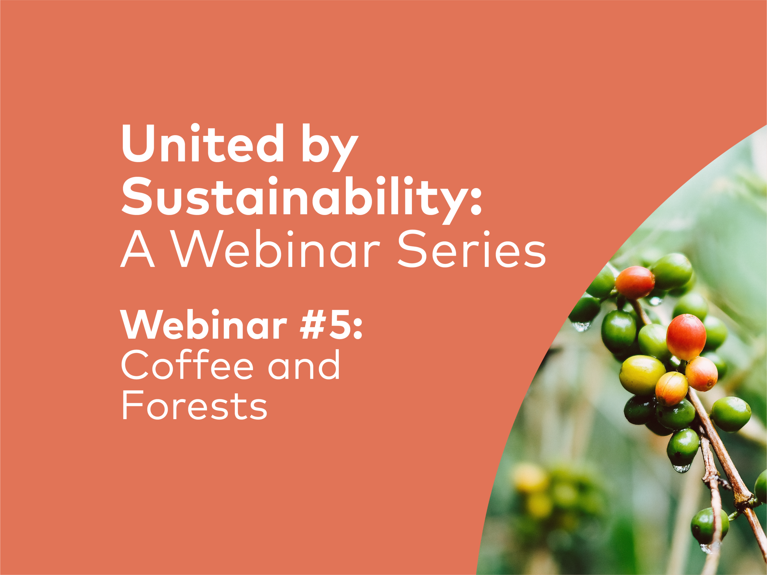 United by Sustainability #5 | Coffee and Forests