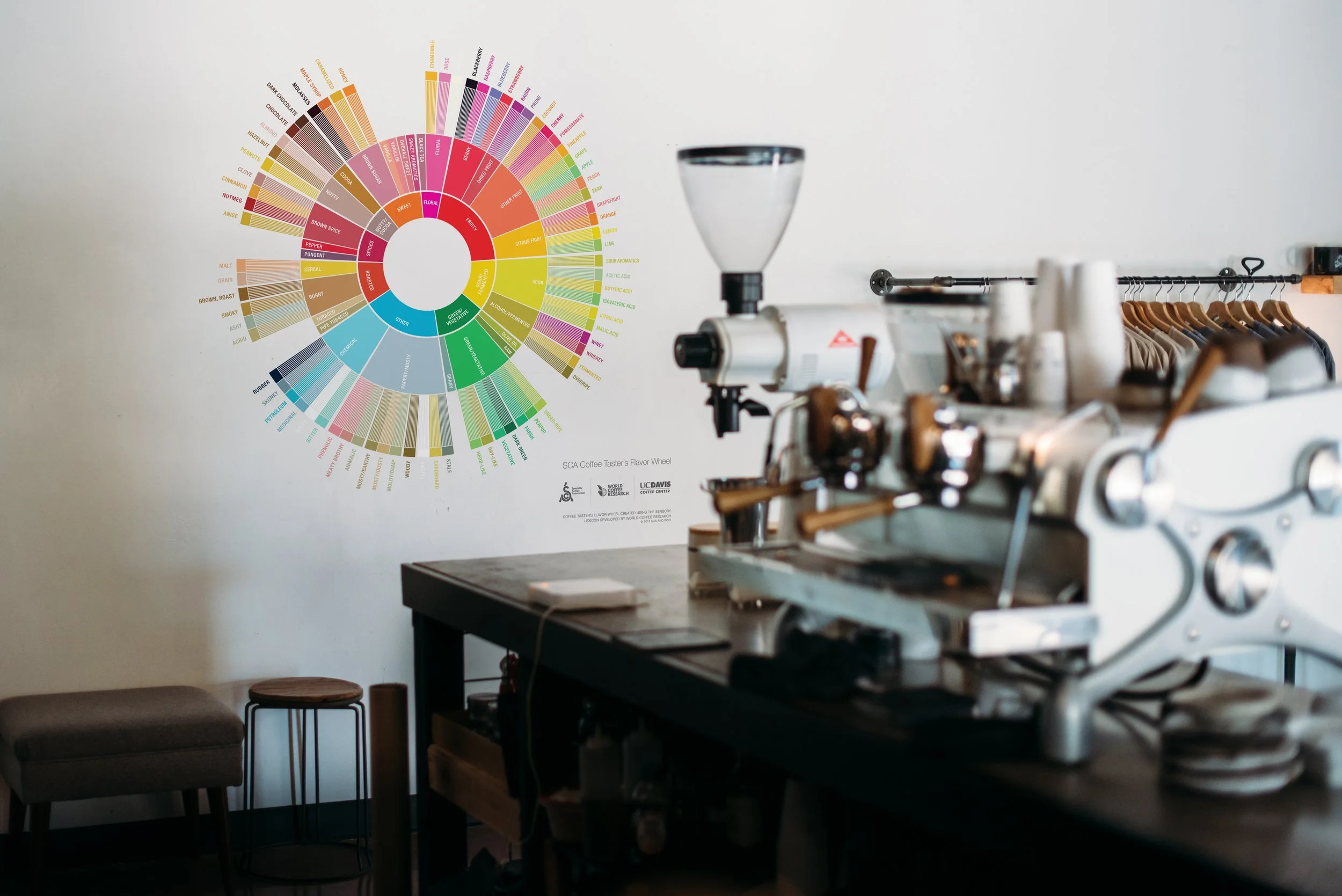 Coffee Taster's Flavor Wheel - Large Format Digital Download (EPS)