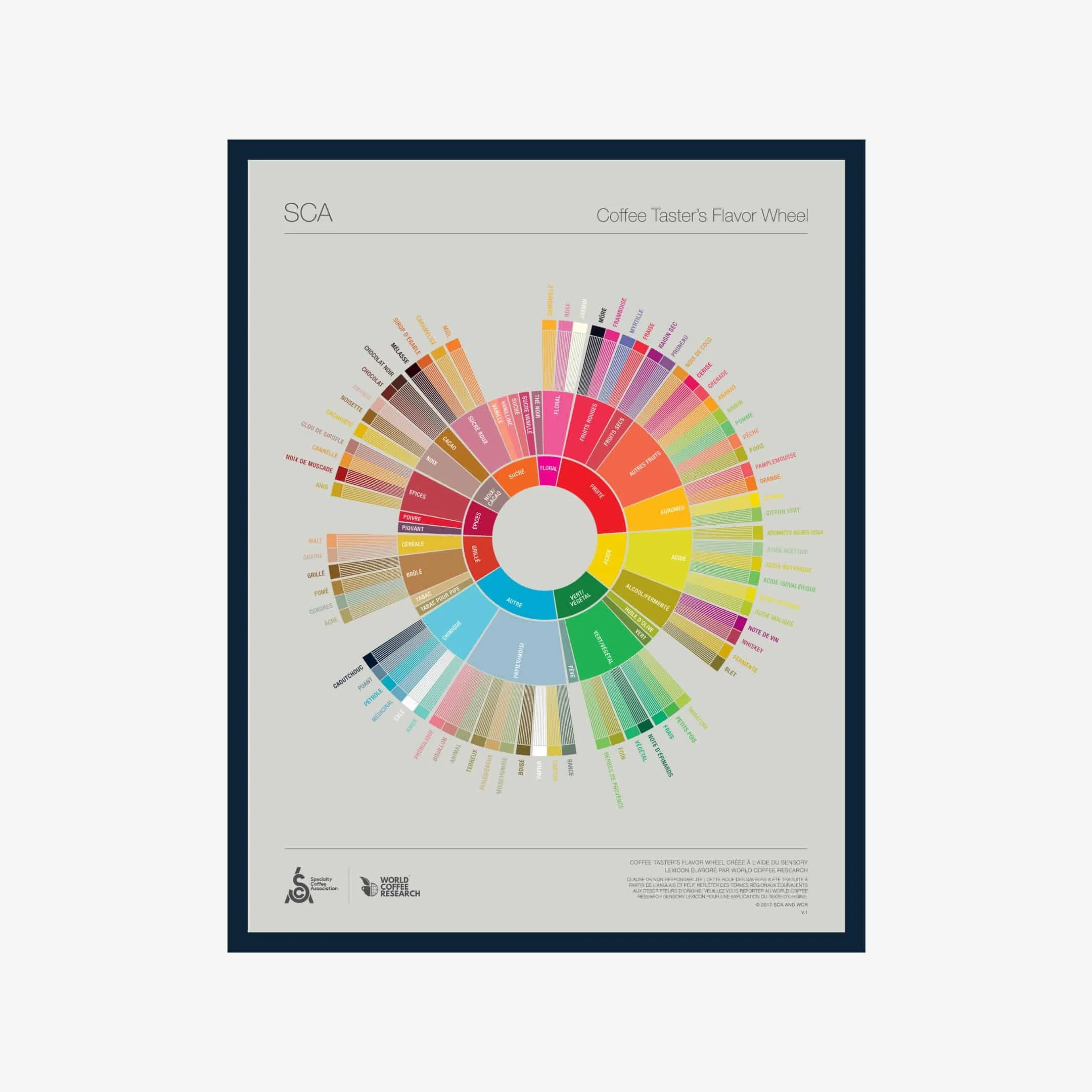 The Coffee Taster's Flavor Wheel - French