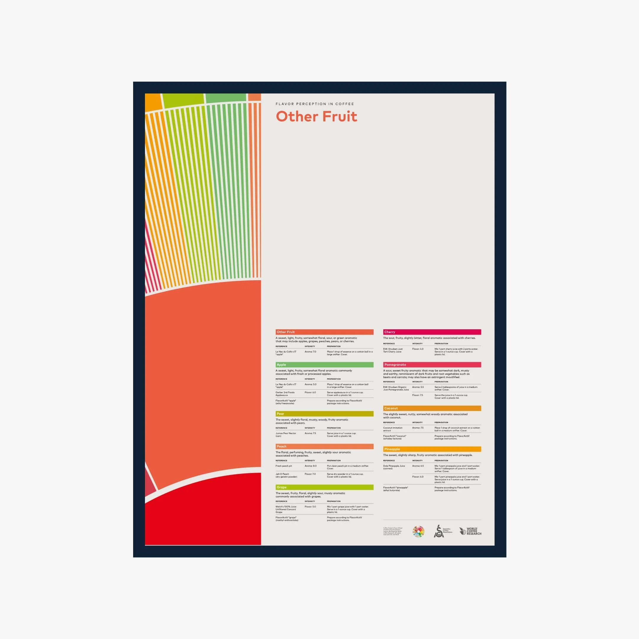 Flavor Perception in Coffee – Other Fruit - English