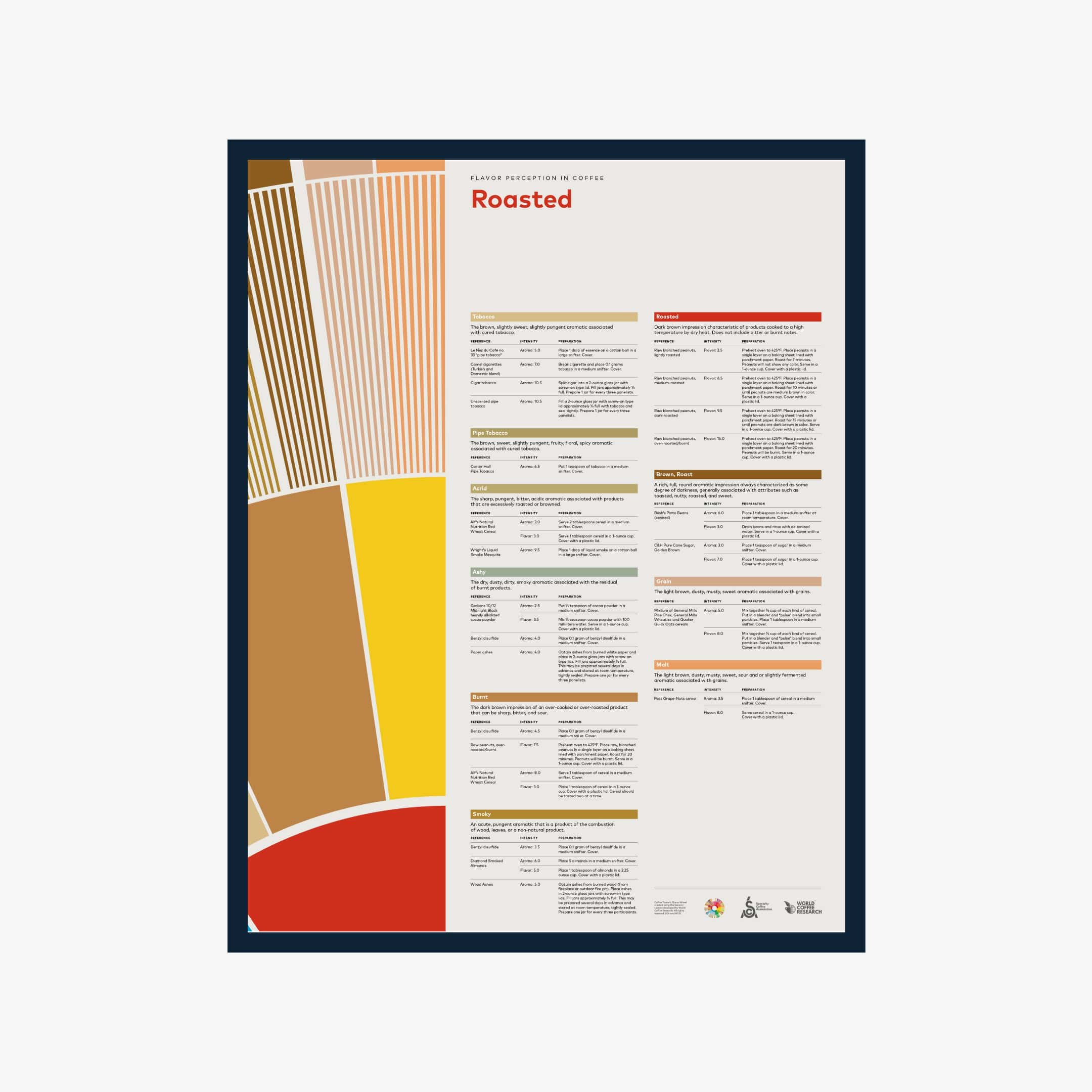 Flavor Perception in Coffee – Roasted - English