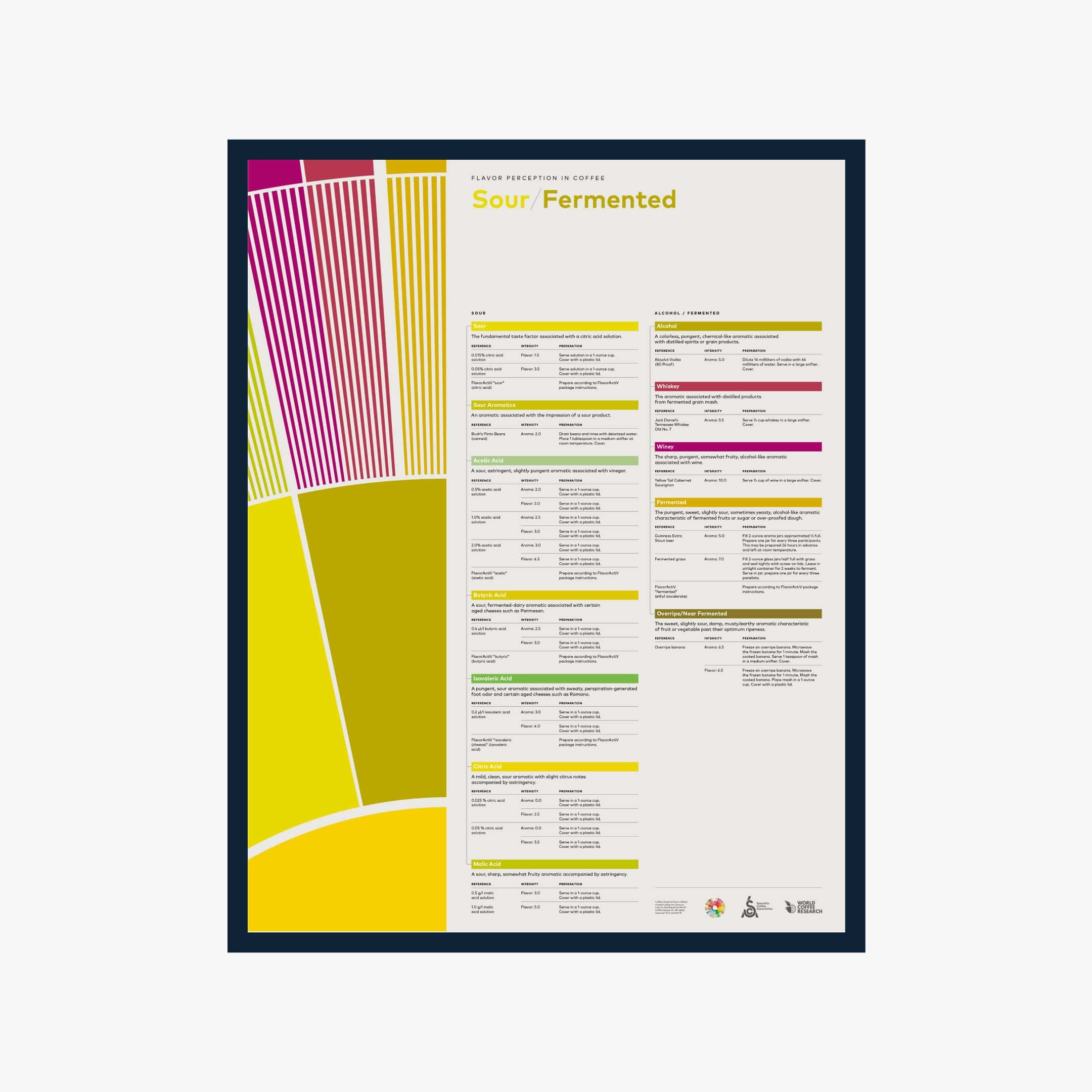 Flavor Perception in Coffee – Sour Fermented - English