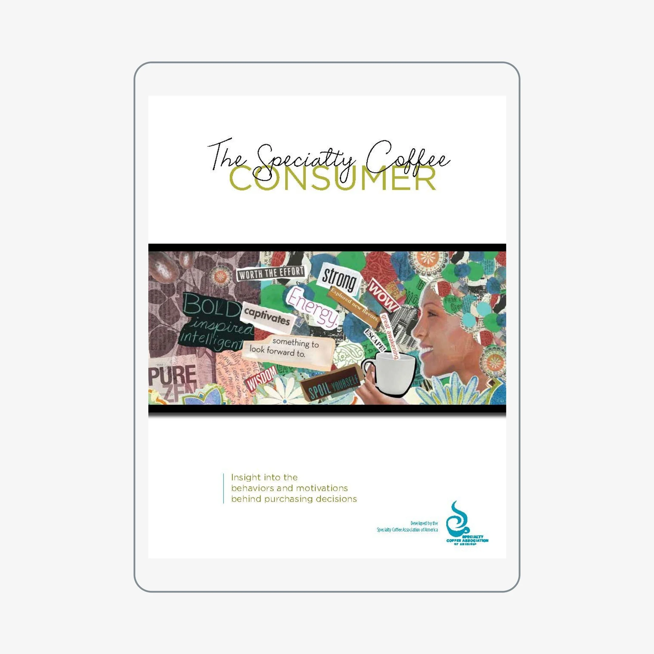 2012 Qualitative Study: Consumer Behaviors, Motivations, and Perceptions