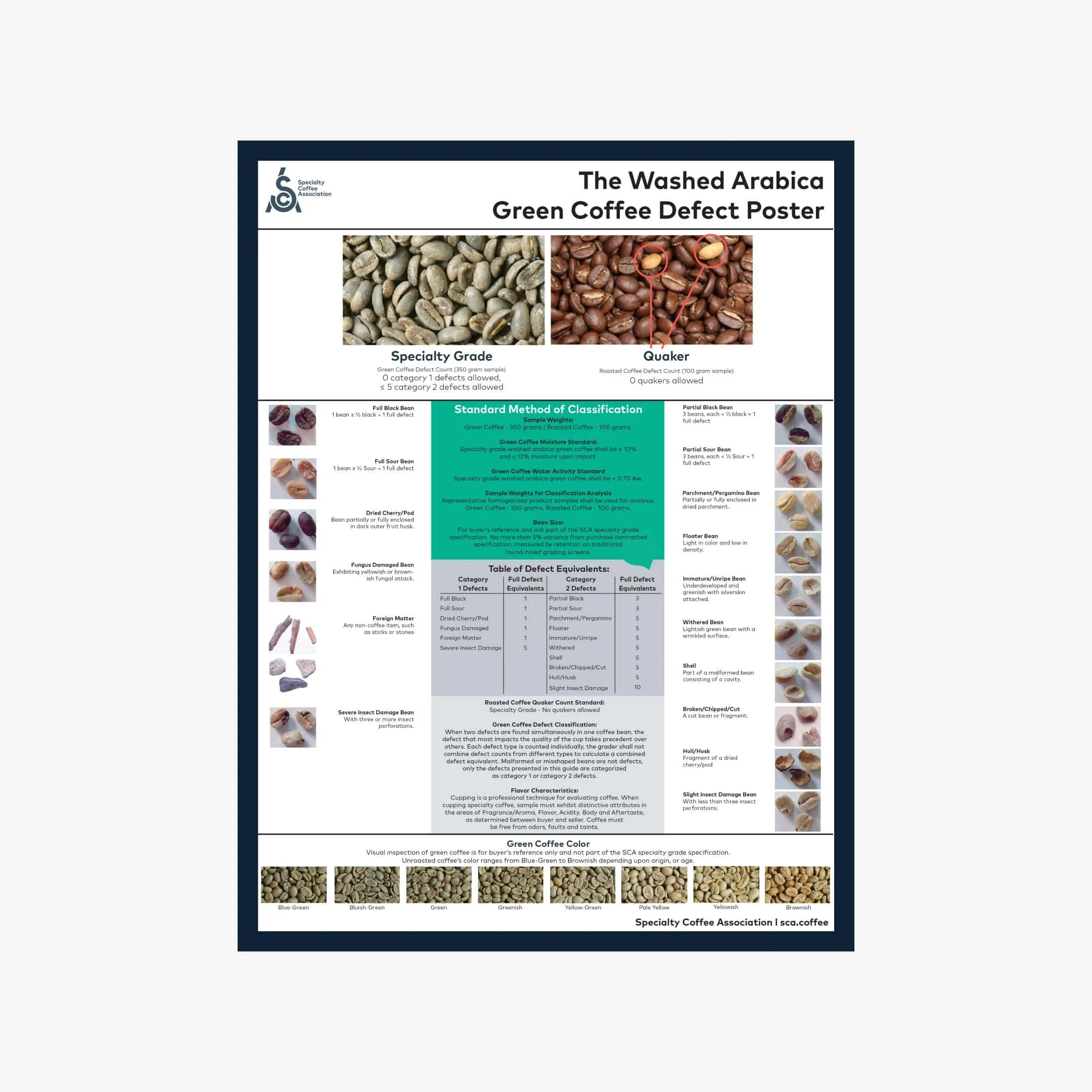 Green Arabica Coffee Classification System