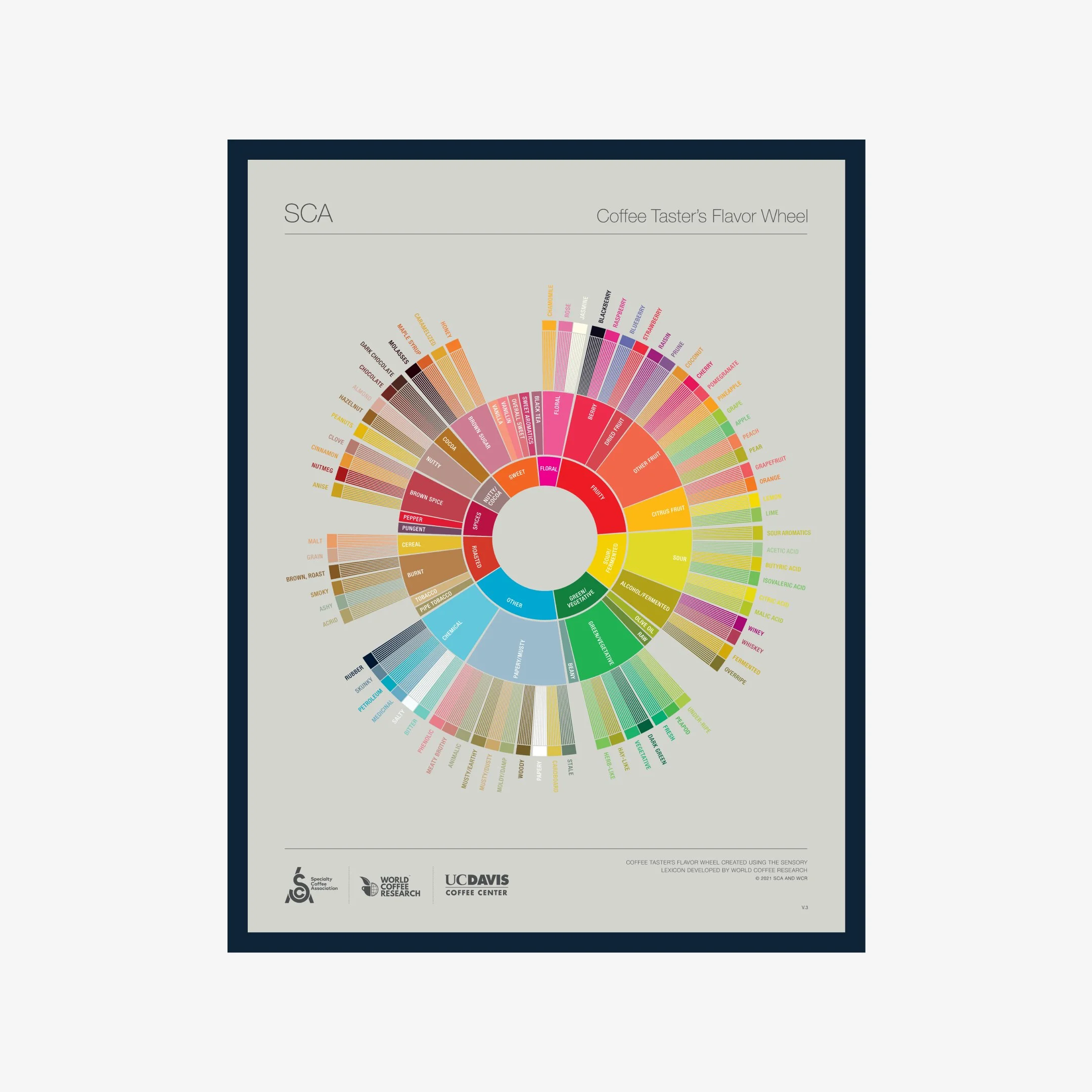 The Coffee Taster's Flavor Wheel - English