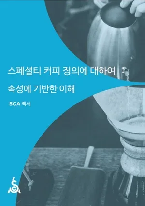 SCA_CVA_Reports.webp