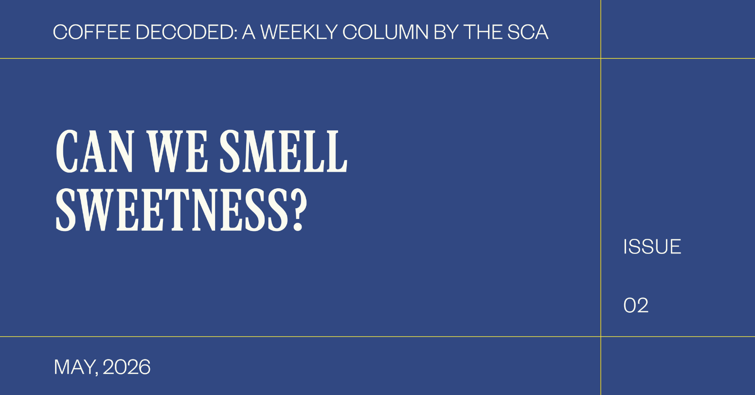 Can We Smell Sweetness?