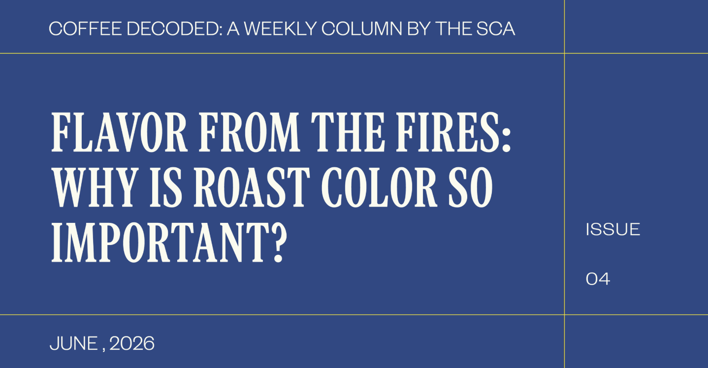Coffee Decoded: Flavor from the Fires–Why Roast Color Matters