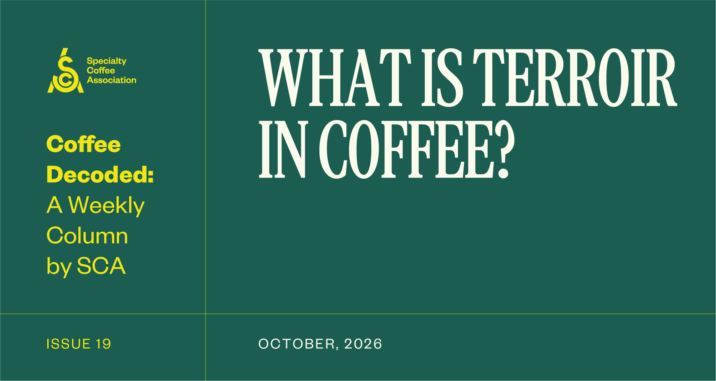 Coffee Decoded: What is Terroir in Coffee?