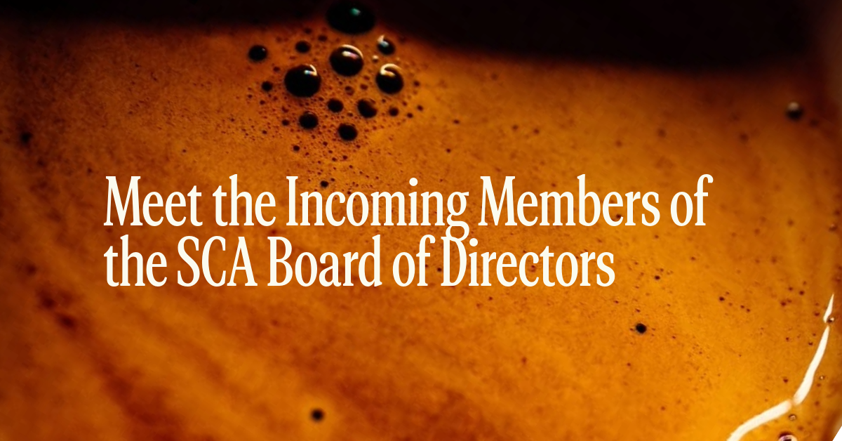 Meet the Members of the 2027 SCA Board of Directors