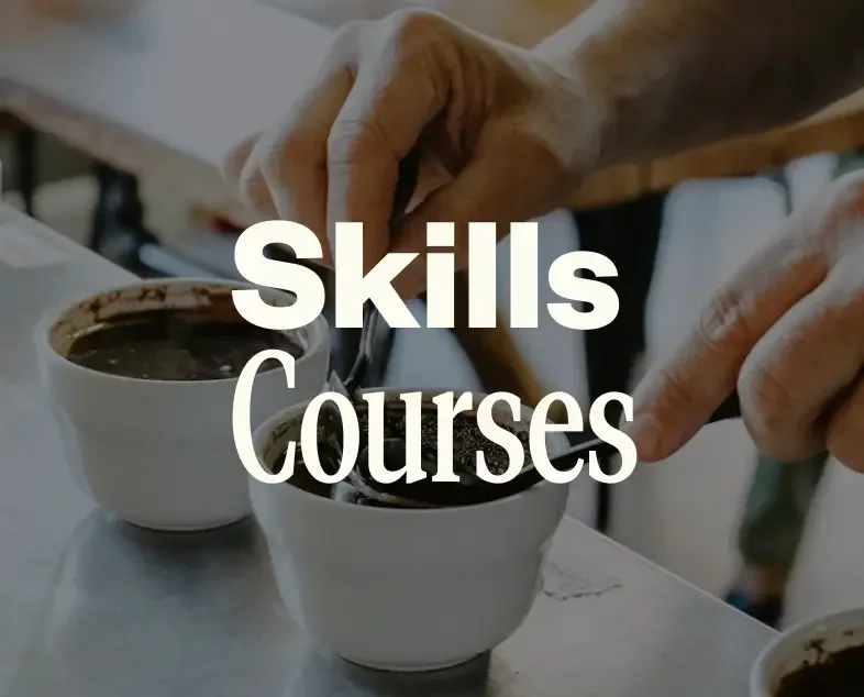 An image of a different mugs with coffees in a cupping session