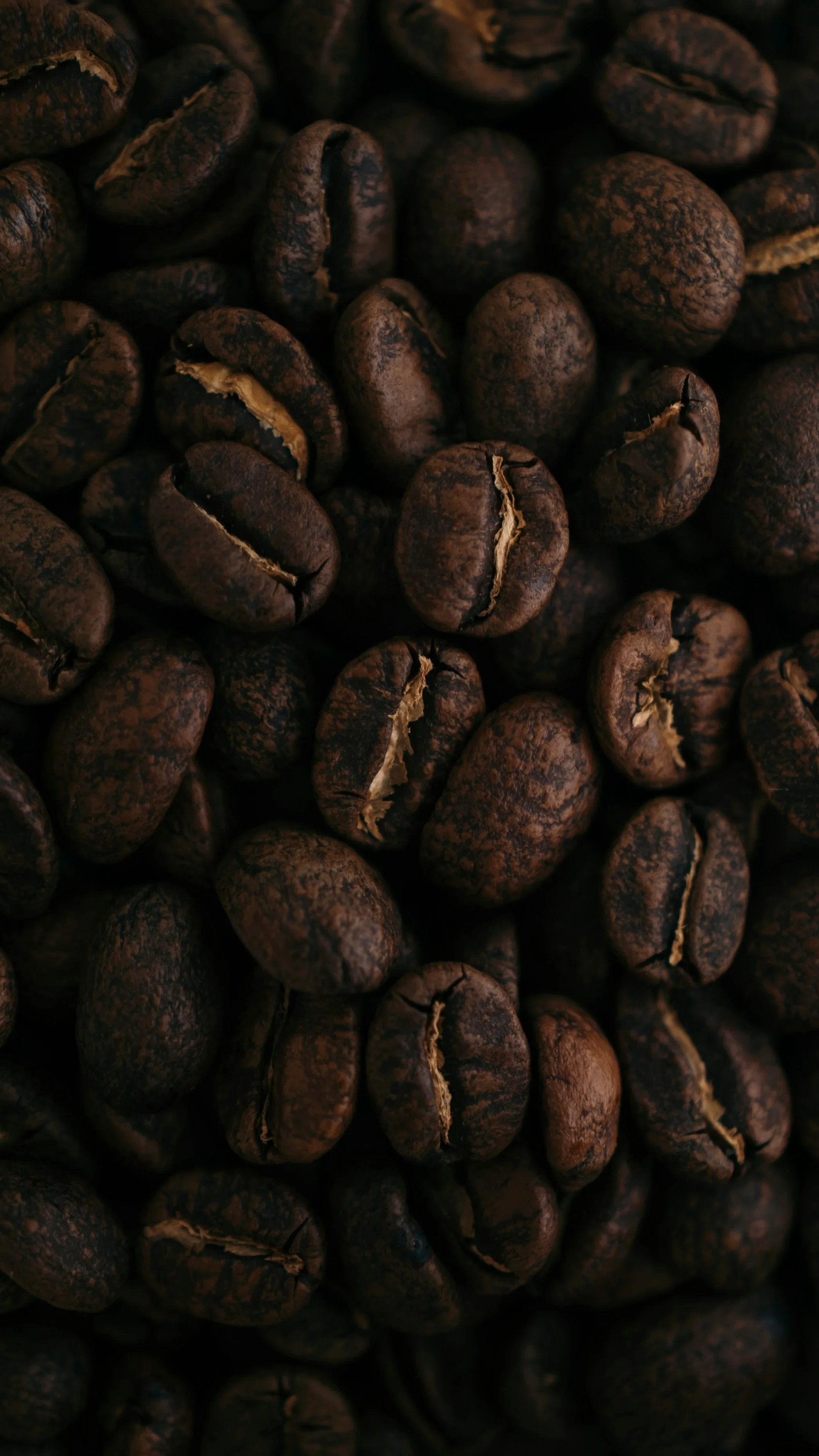 Roasted coffee beans