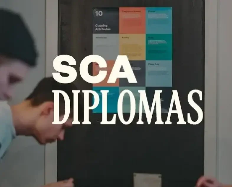 Image of people cupping coffee with the words "SCA Diplomas" on top