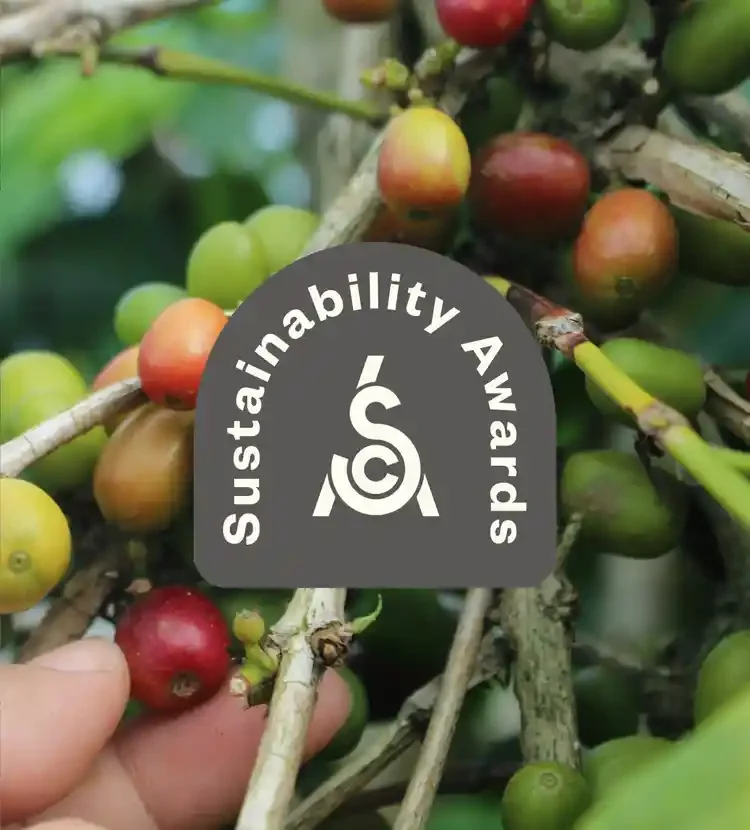 Sustainability Awards logo on top of an image of coffee beans on a branch