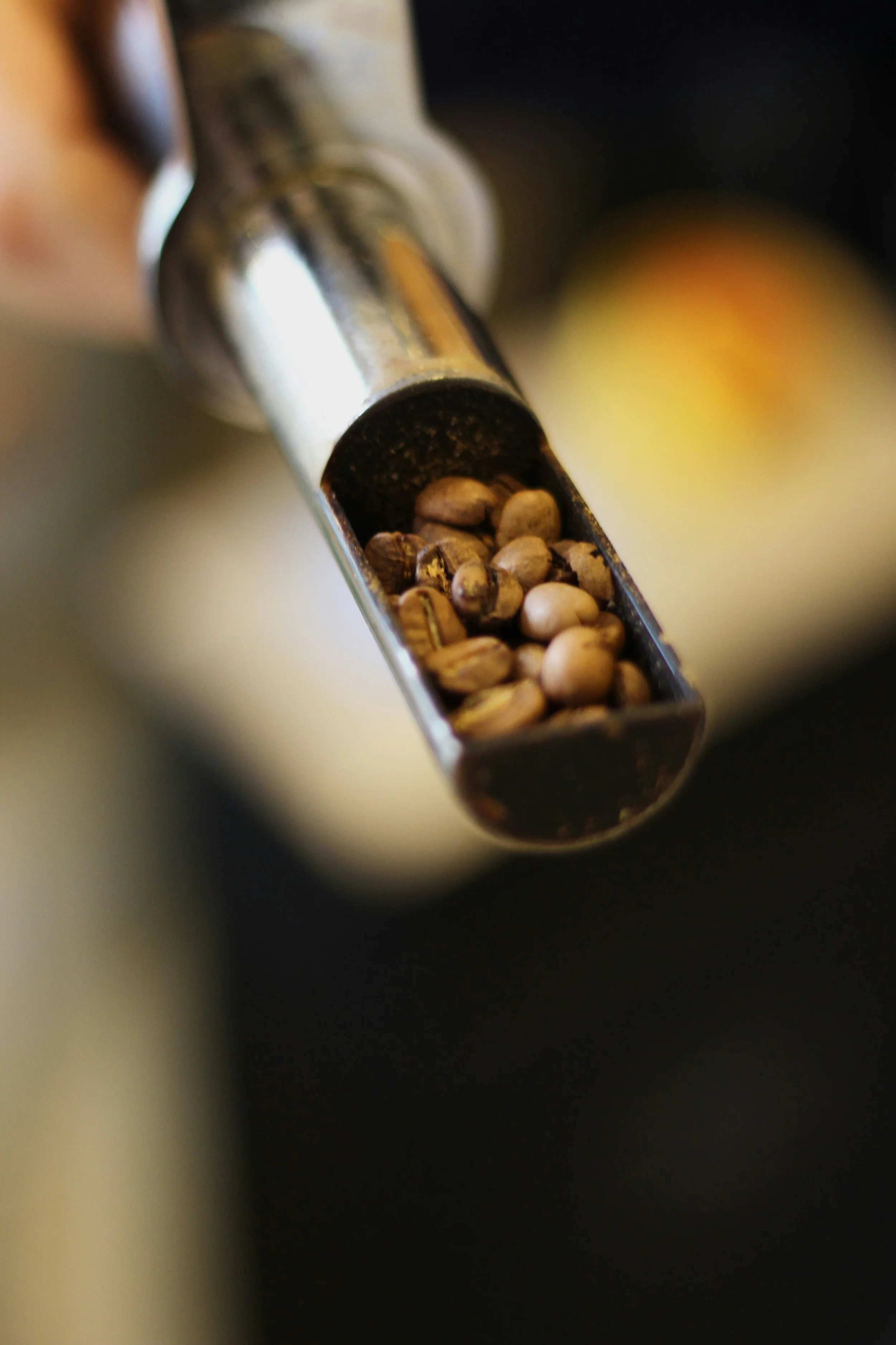 Coffee roasting trier with beans