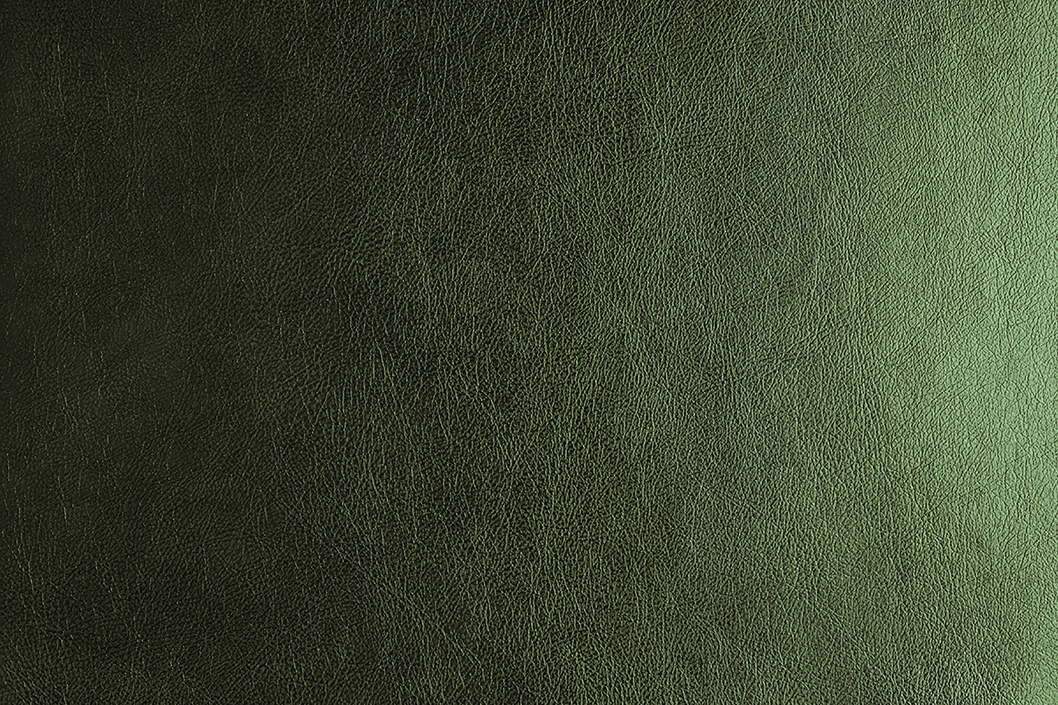 Close-up of green textured leather surface.